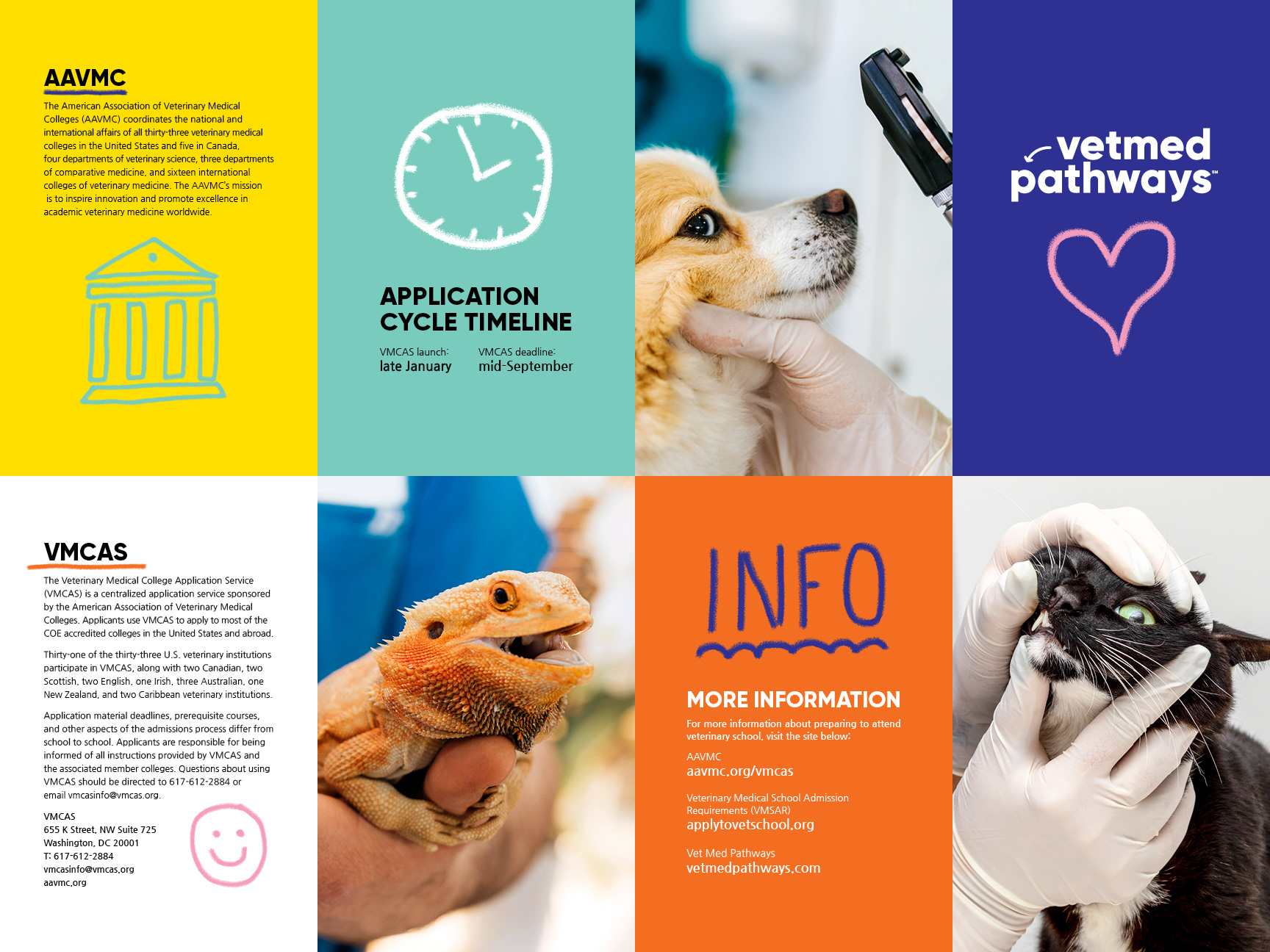 Vetmed Pathways poster, front