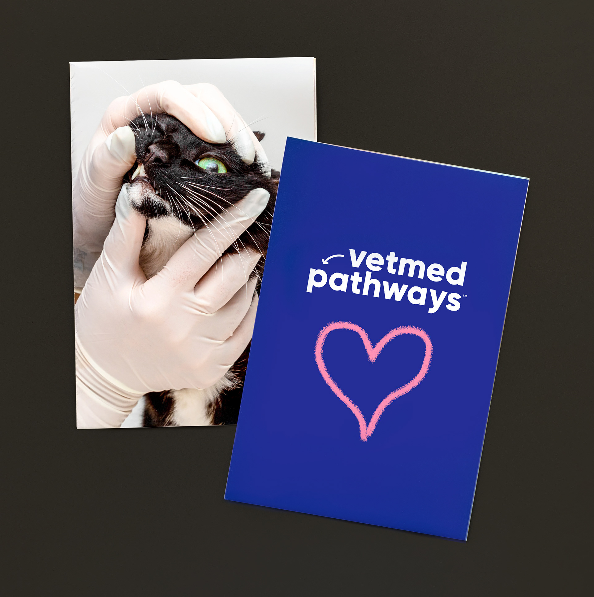 Vetmed Pathways poster covers front and back