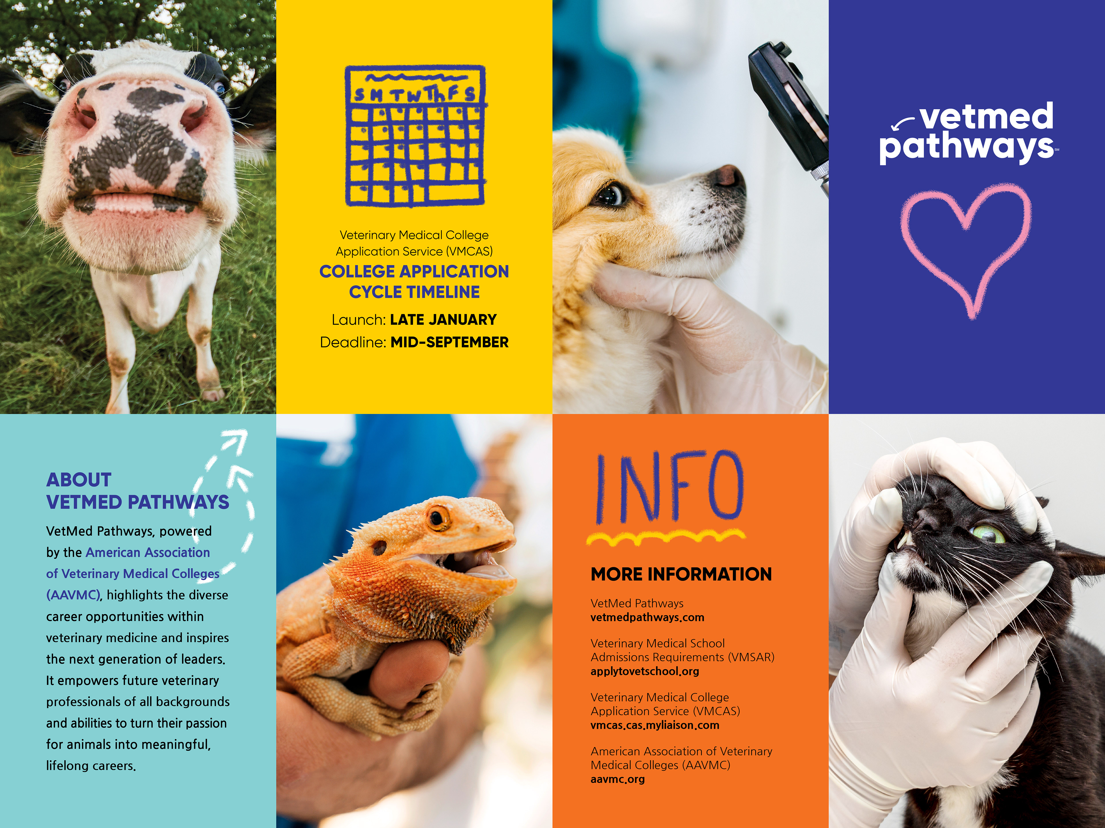 Vetmed Pathways poster, front