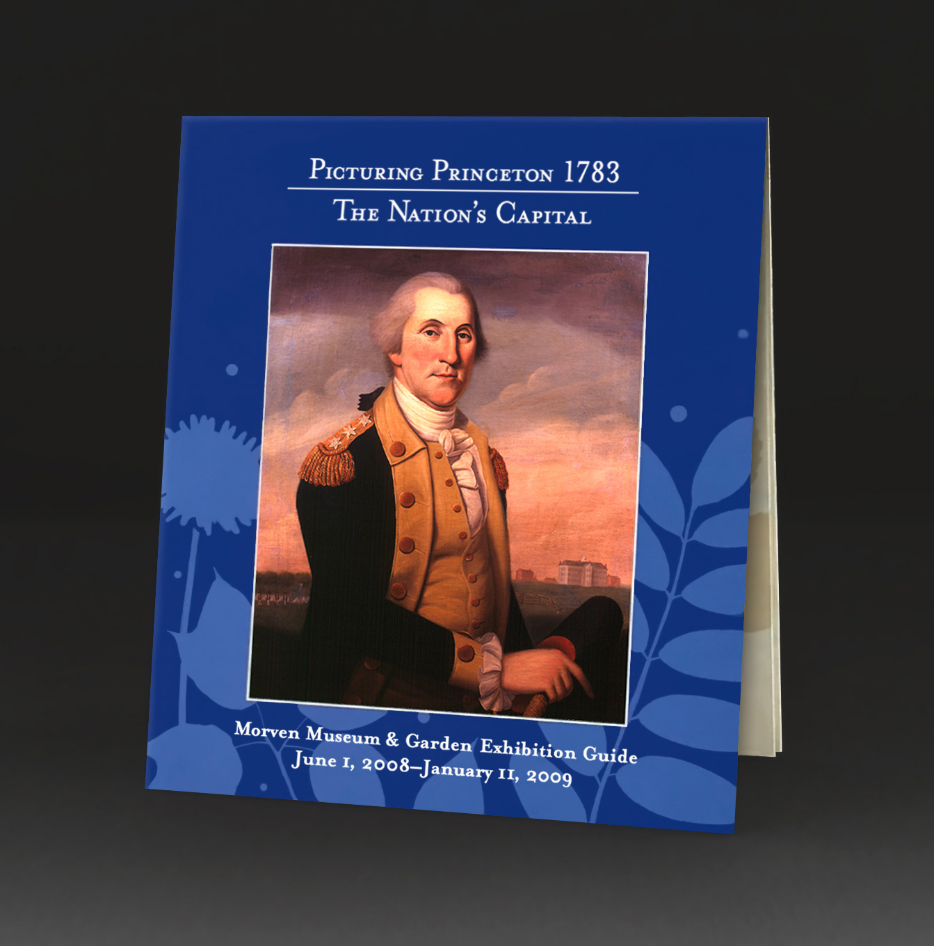 Picturing Princeton art exhibition guide cover