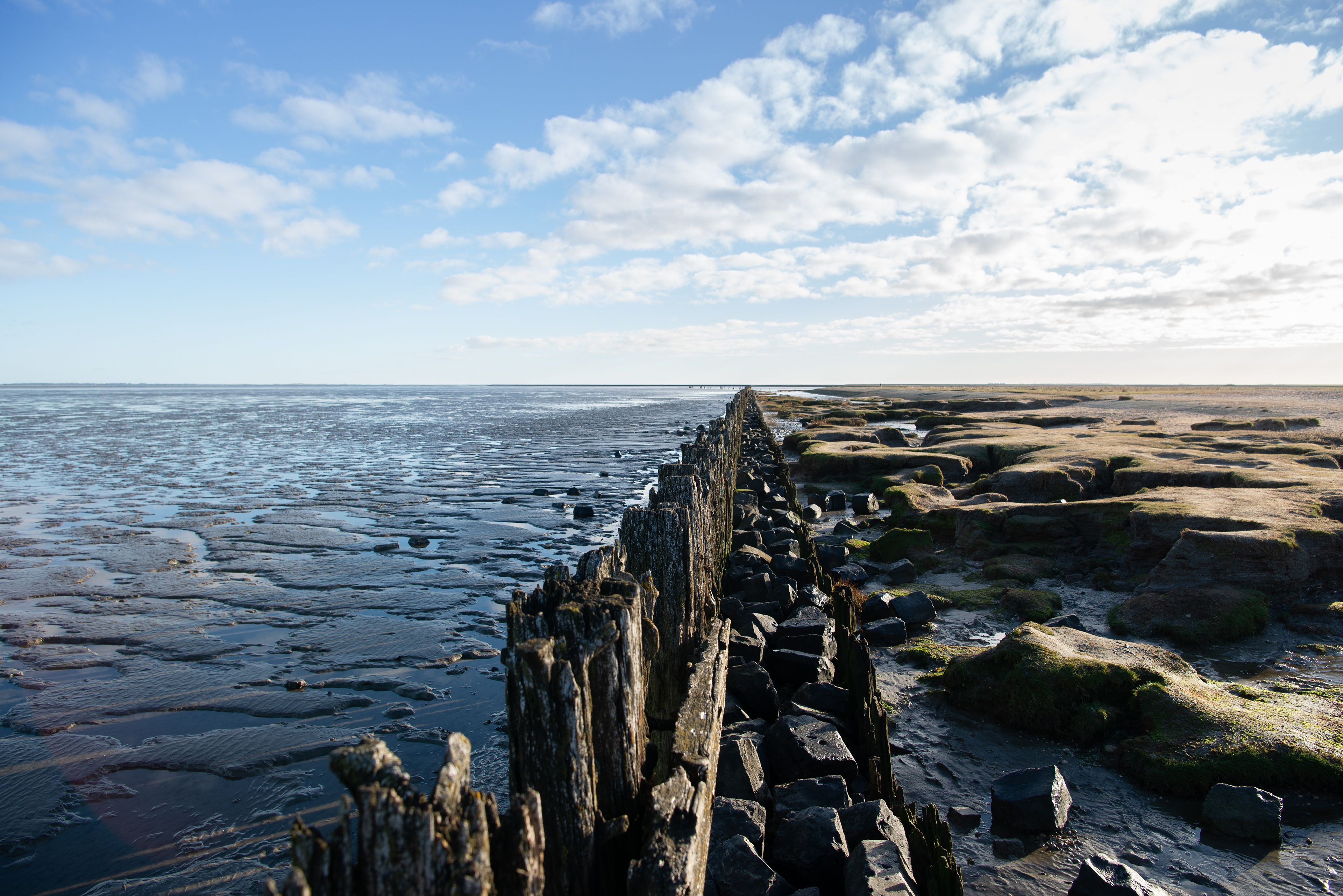 Landscapes