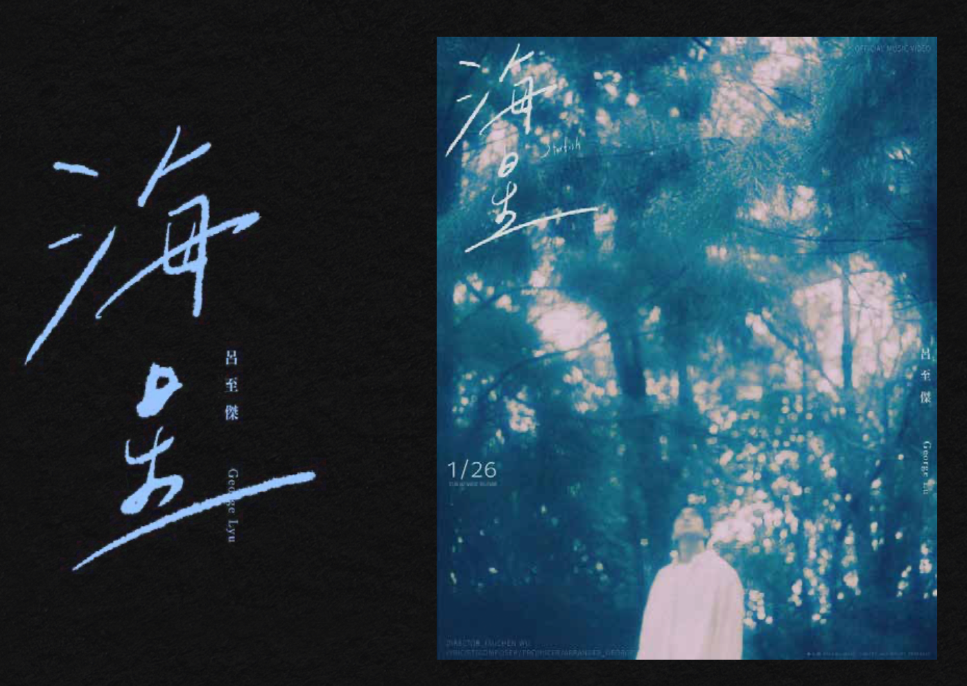 呂至傑 《海星》 標準字設計