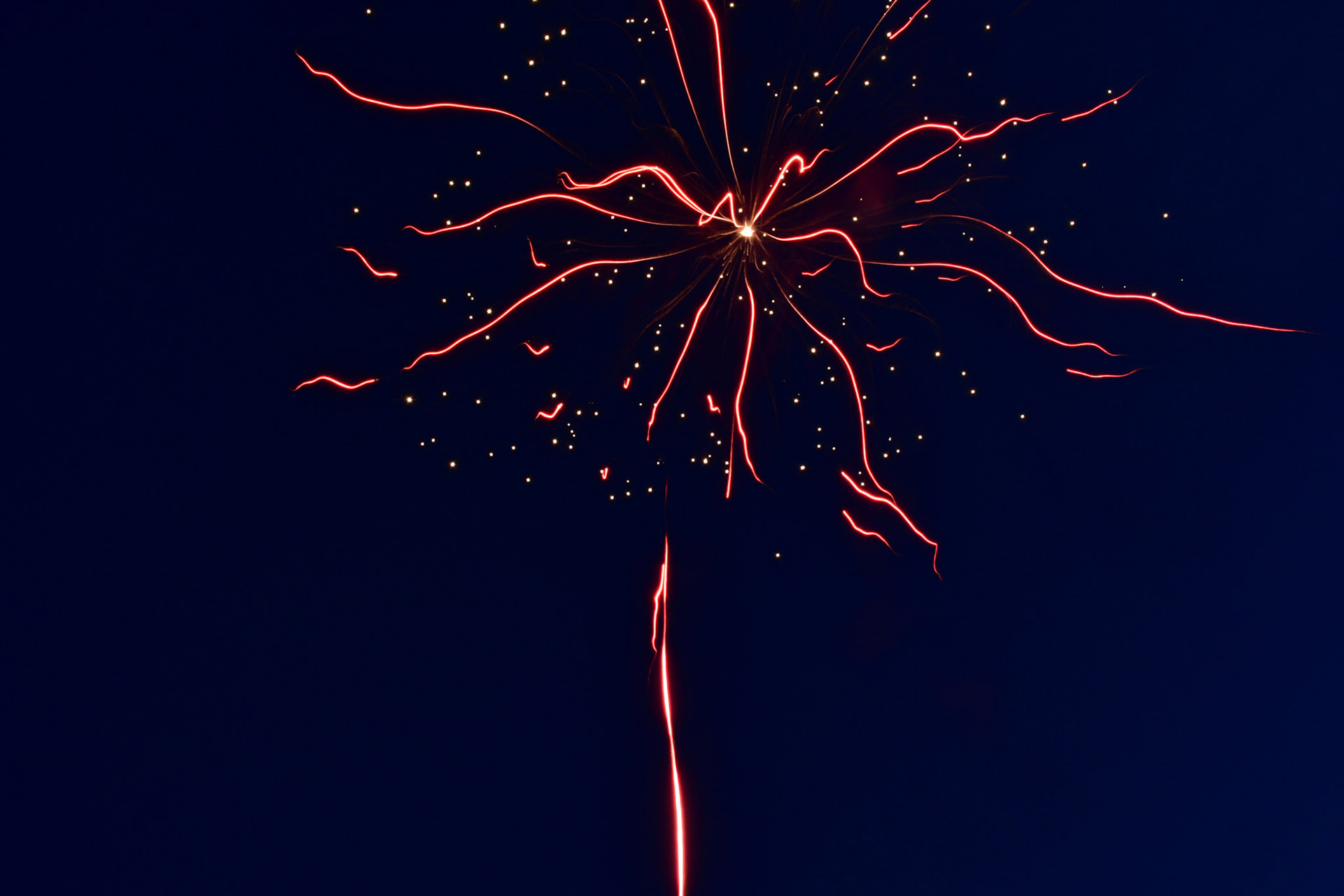 Firework 02