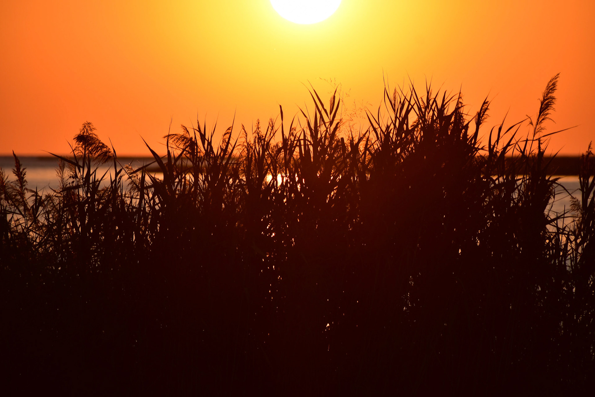Sunset 01