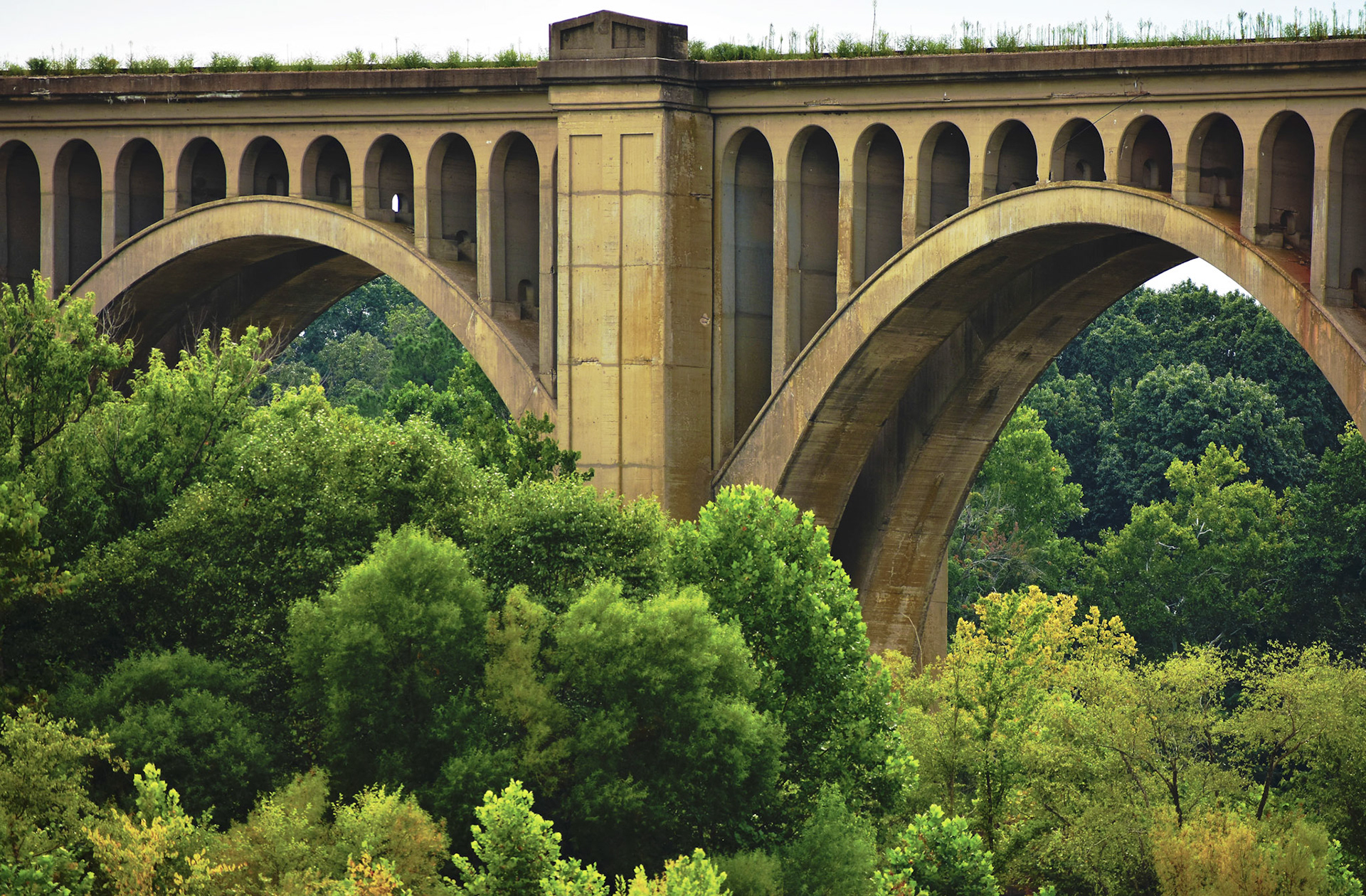 Bridge 03