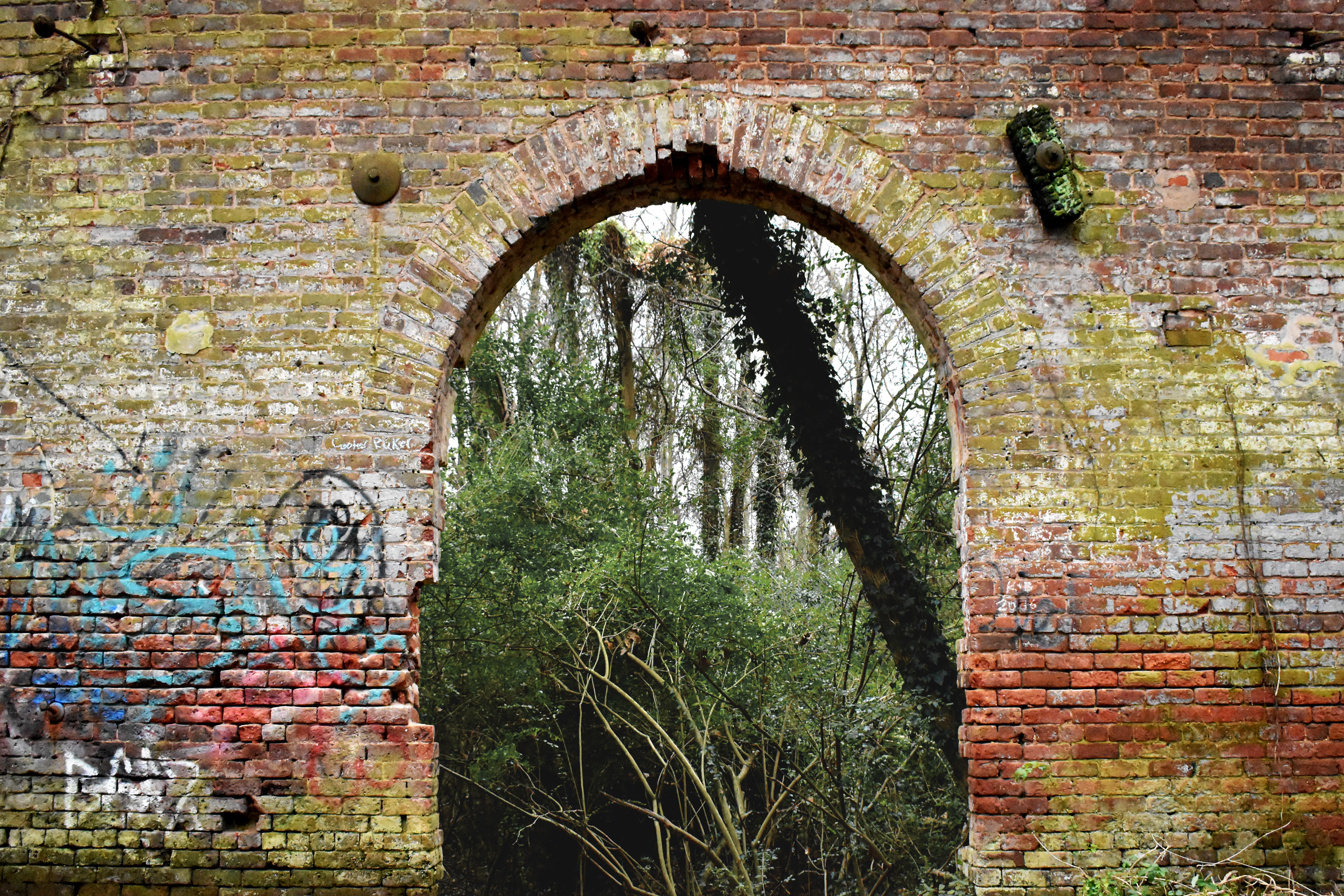 Arch