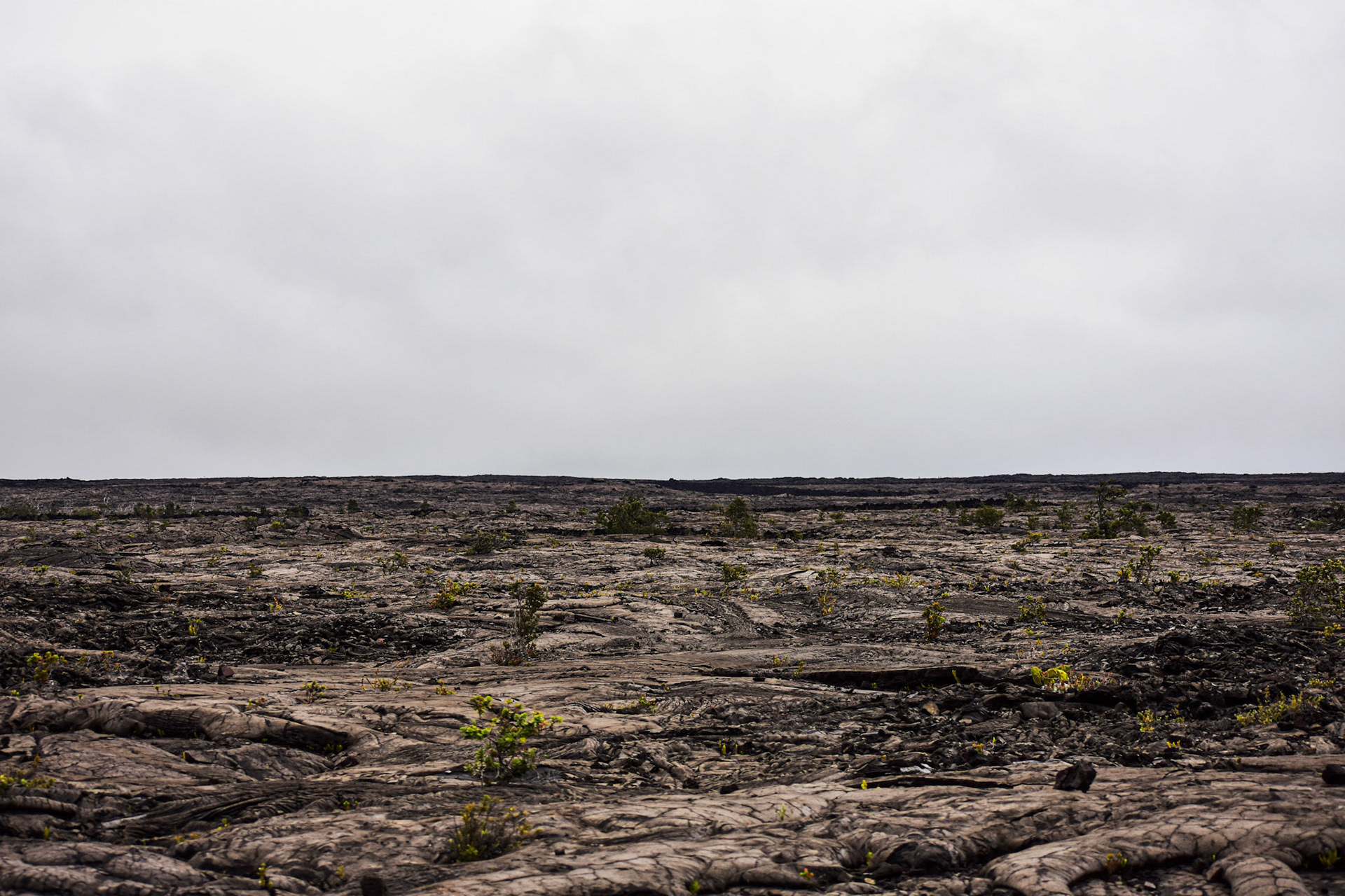 Rocky Plains