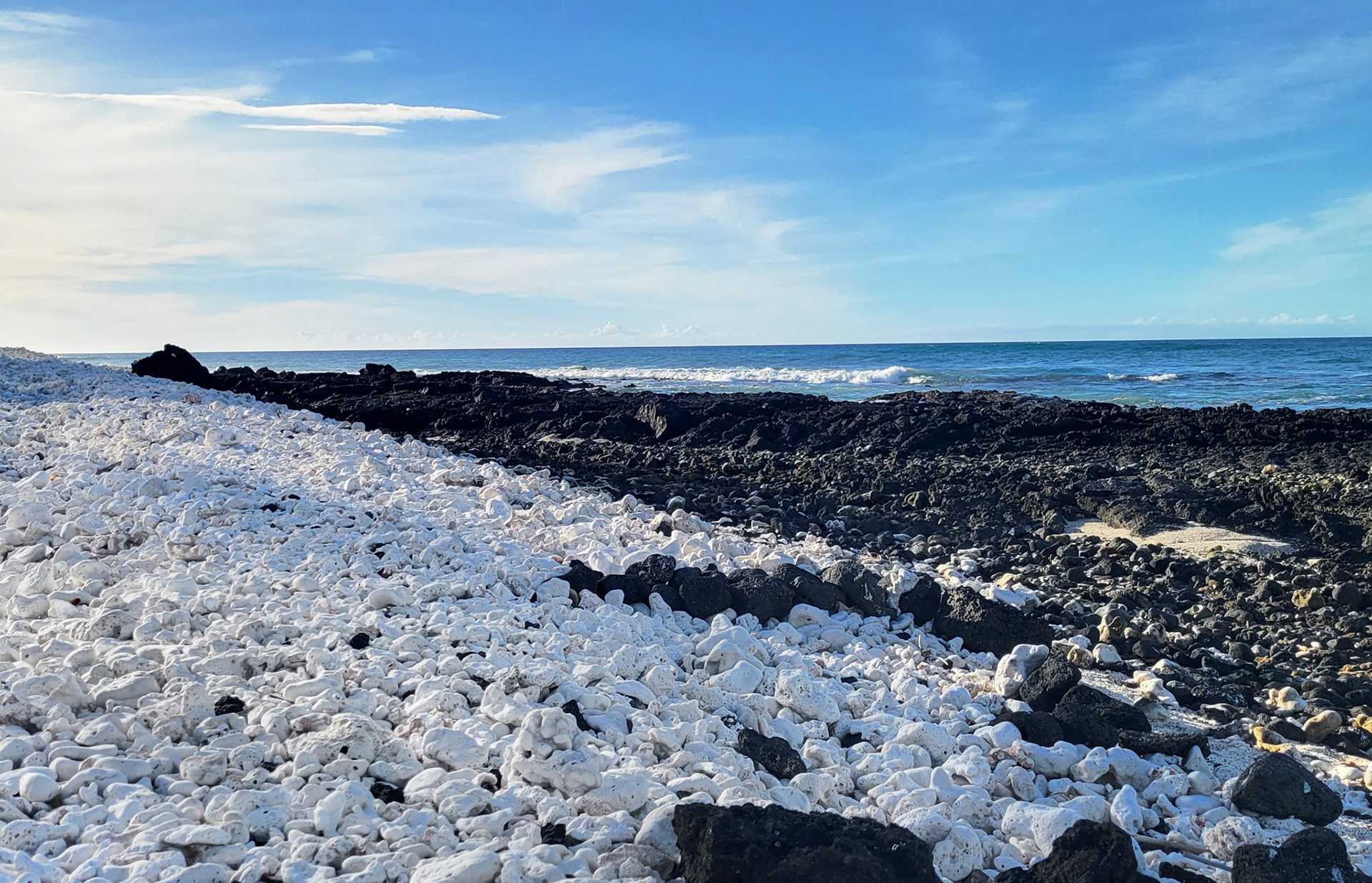 Coral and Black Rock