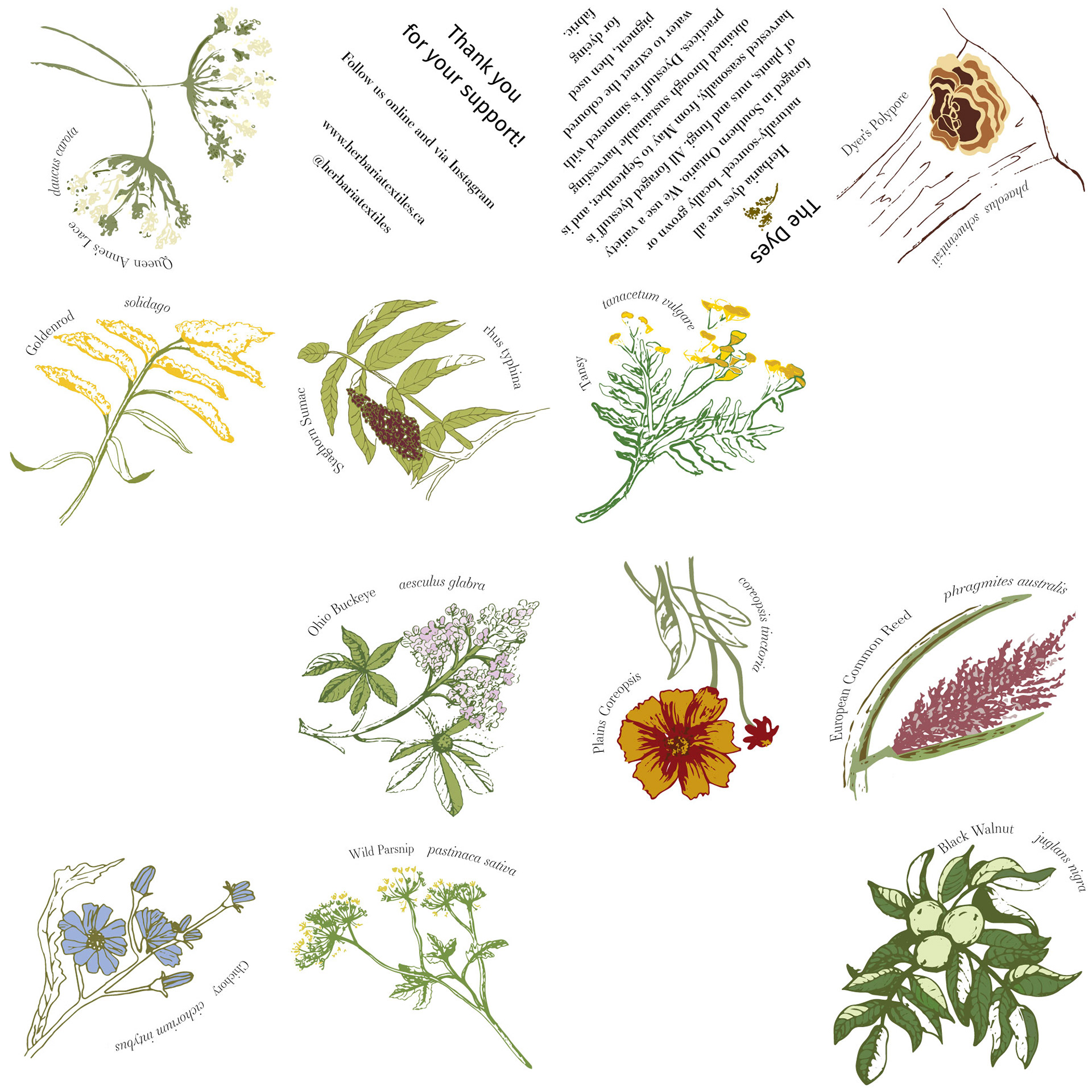 Brochure Design-Bottom
