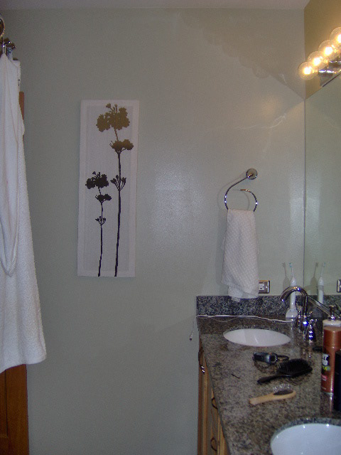Master Bath Before