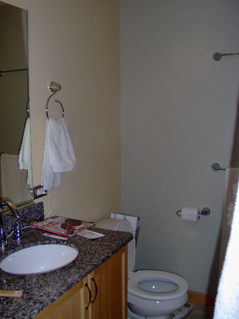 Master Bath Before