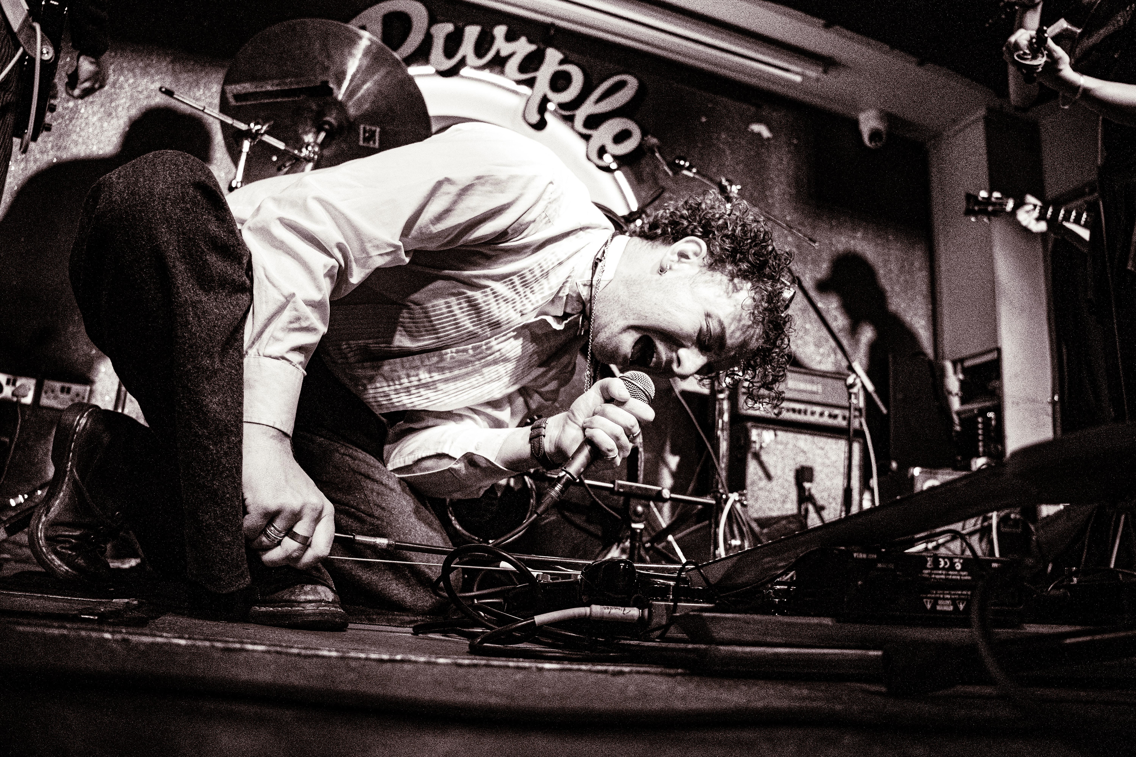 SODDEN PELT - PURPLE TURTLE