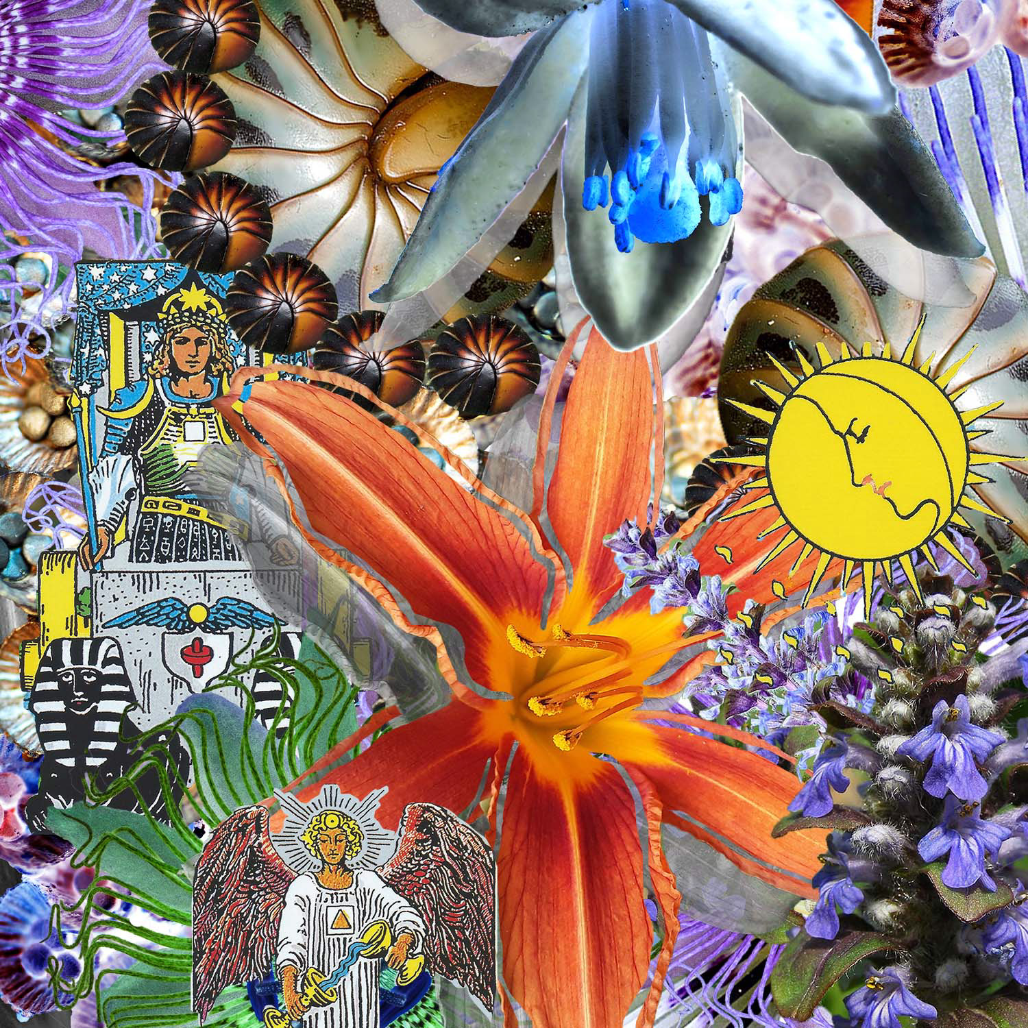 Body Collage