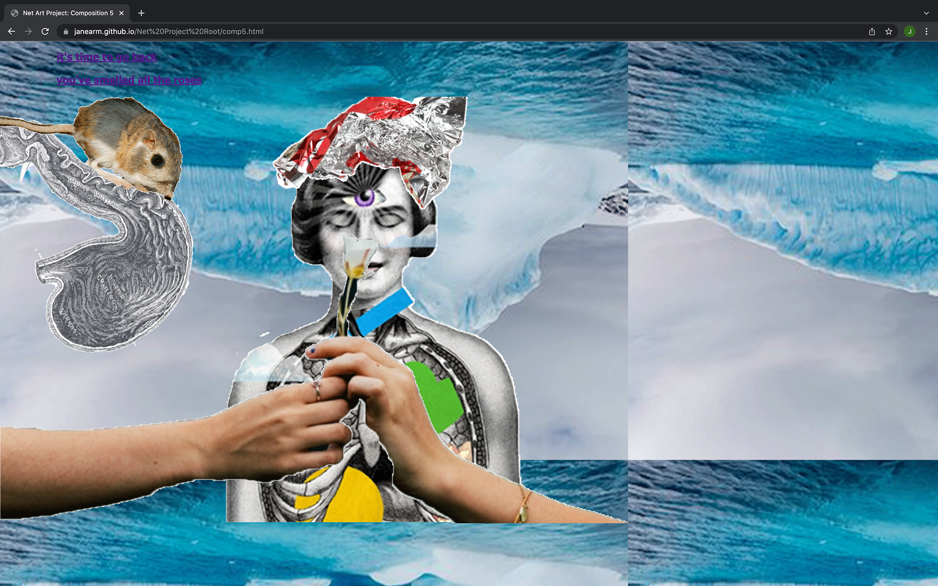 Net Art Project Composition 6
