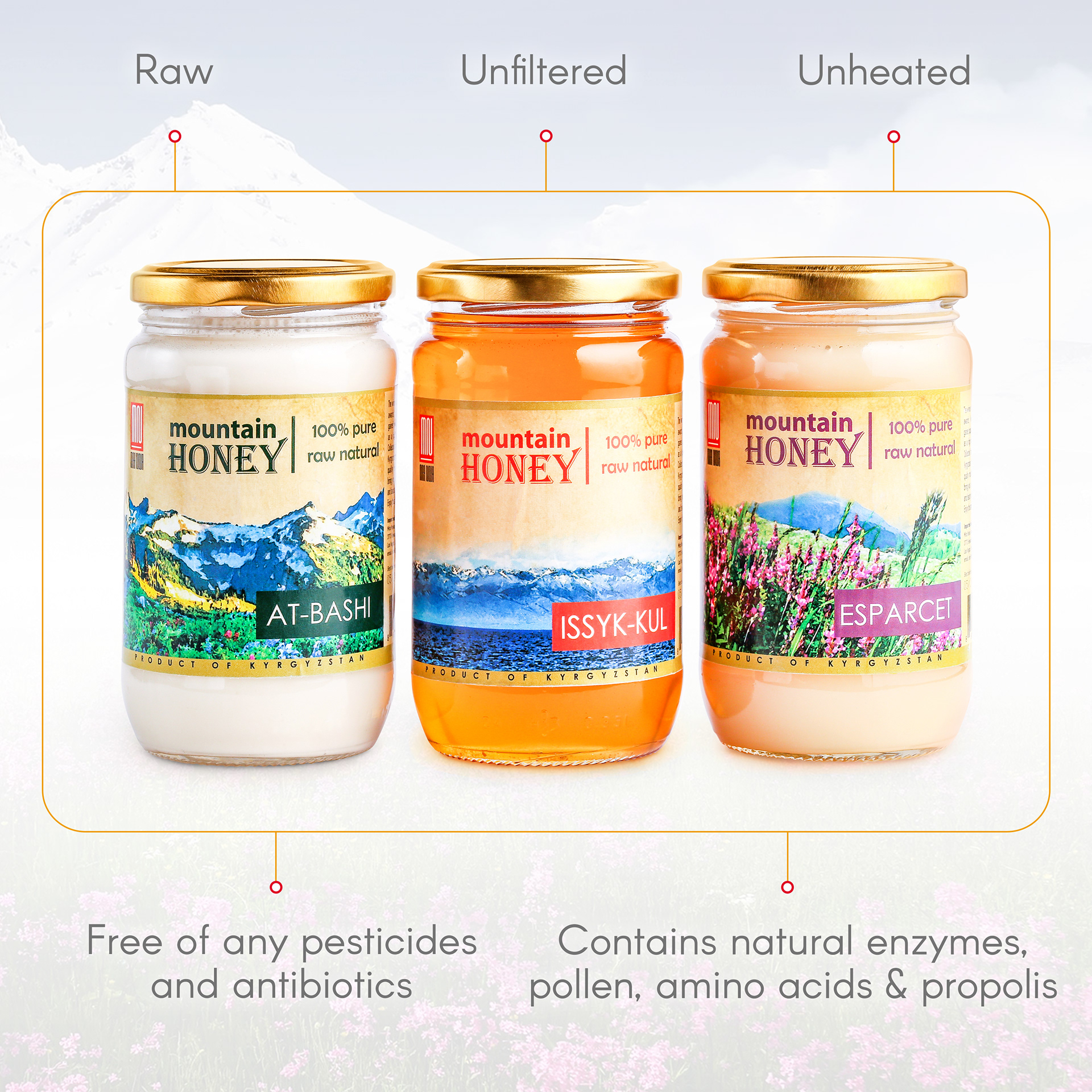 Amazon infographic for product benefits of honey.