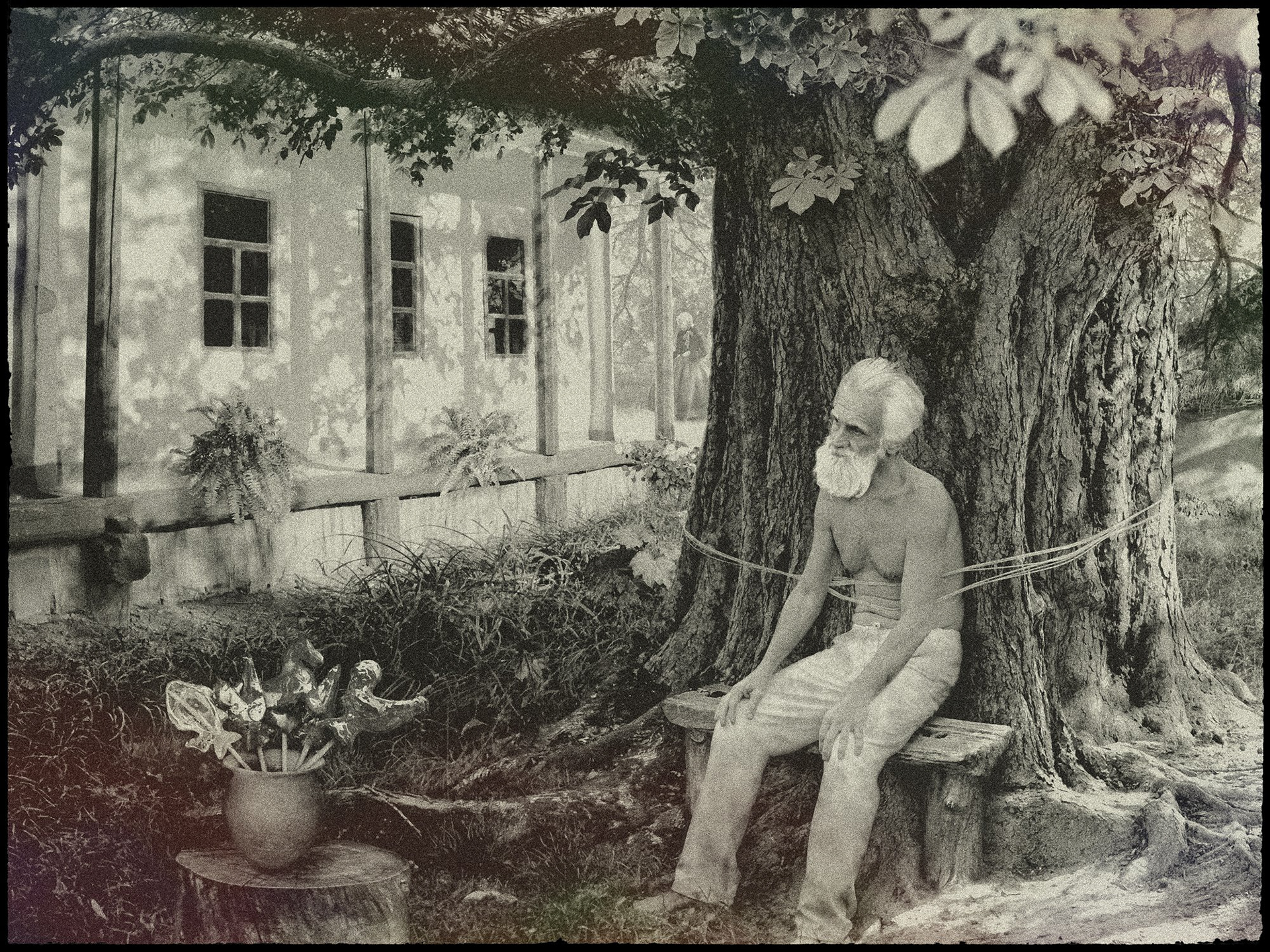One hundred years of solitude art. Digital illustration. Jose Arcadio Buendia is tied up to the chestnut tree