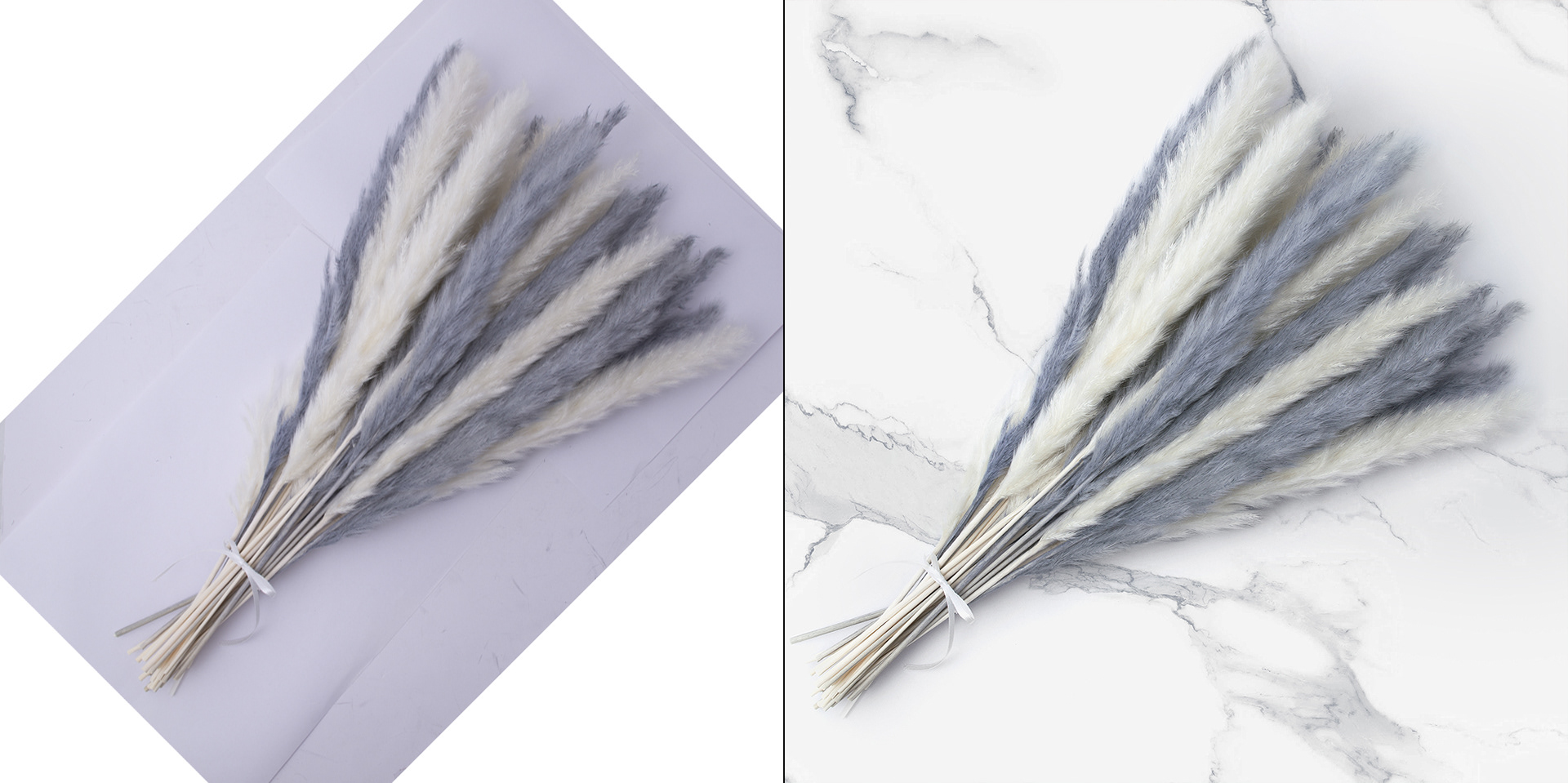 Pampas grass on marble background.
