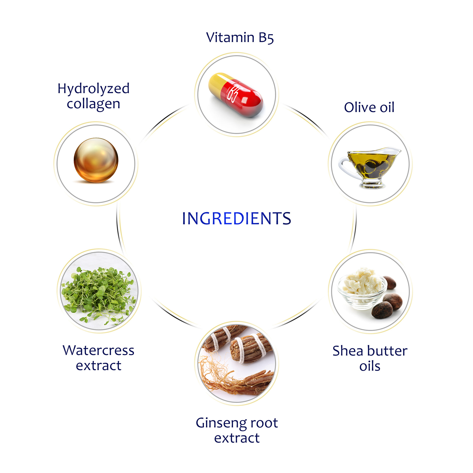 Amazon infographic for product ingredients.