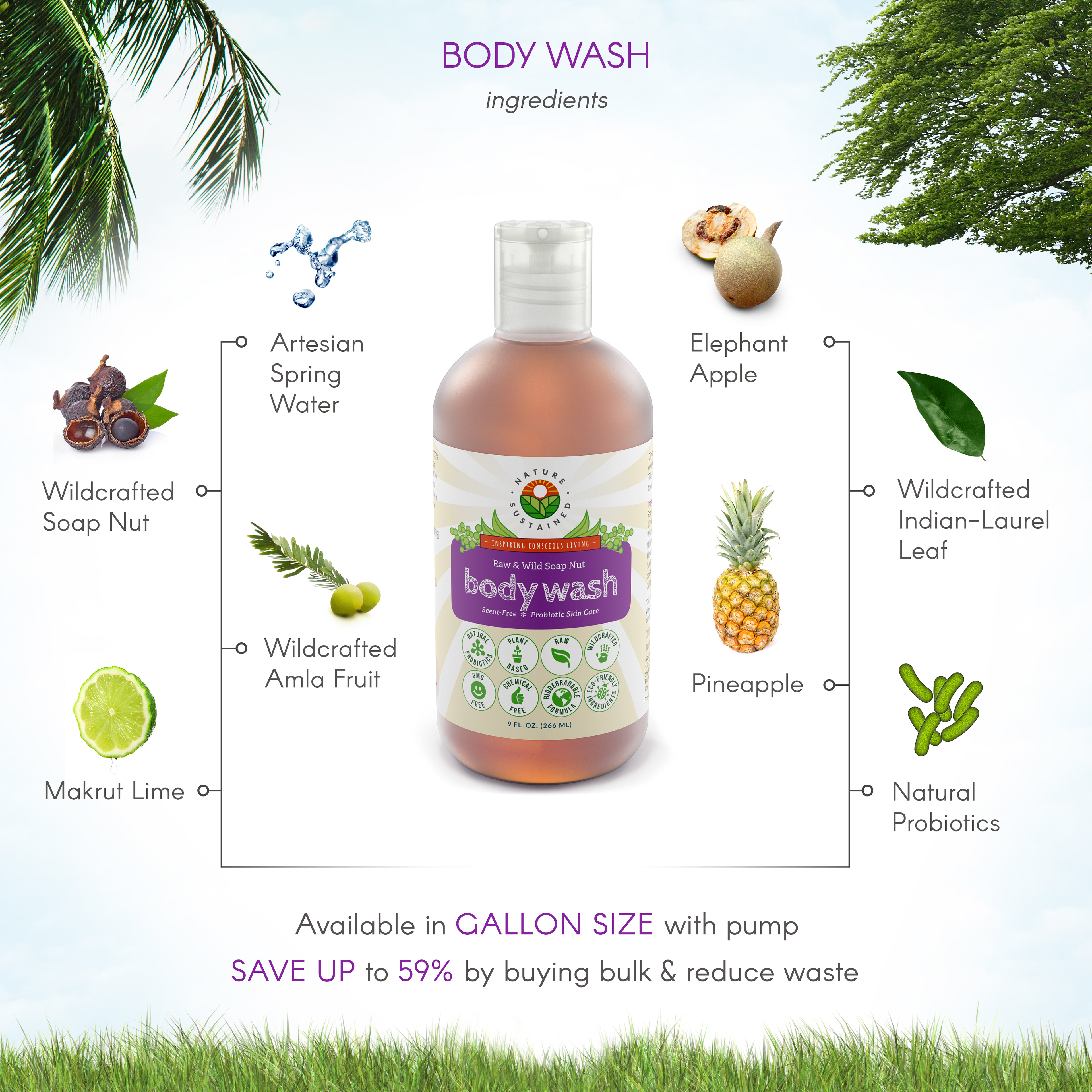 Amazon infographic for product ingredients of body wash.