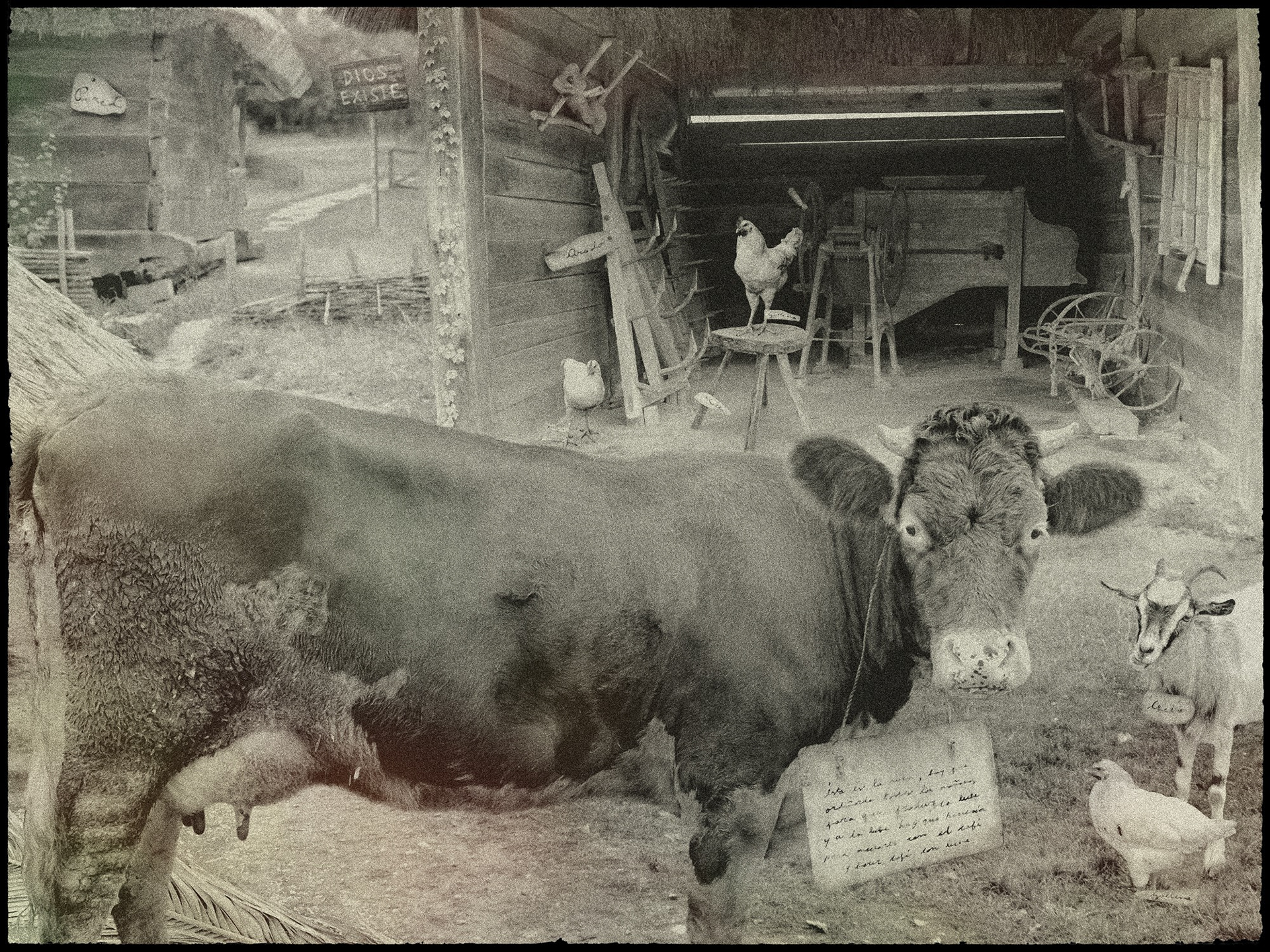 One hundred years of solitude art. Digital illustration of a cow and other objects with names.. Insomnia