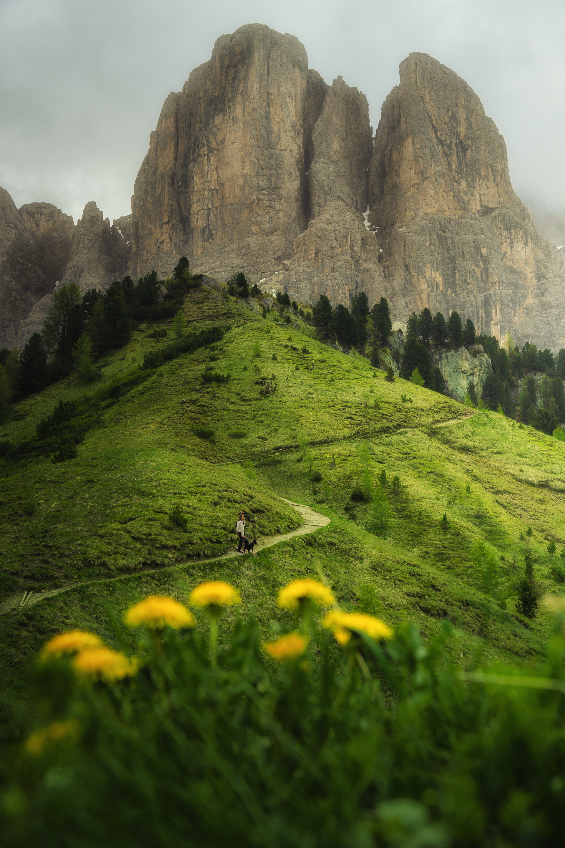Passo Gardena