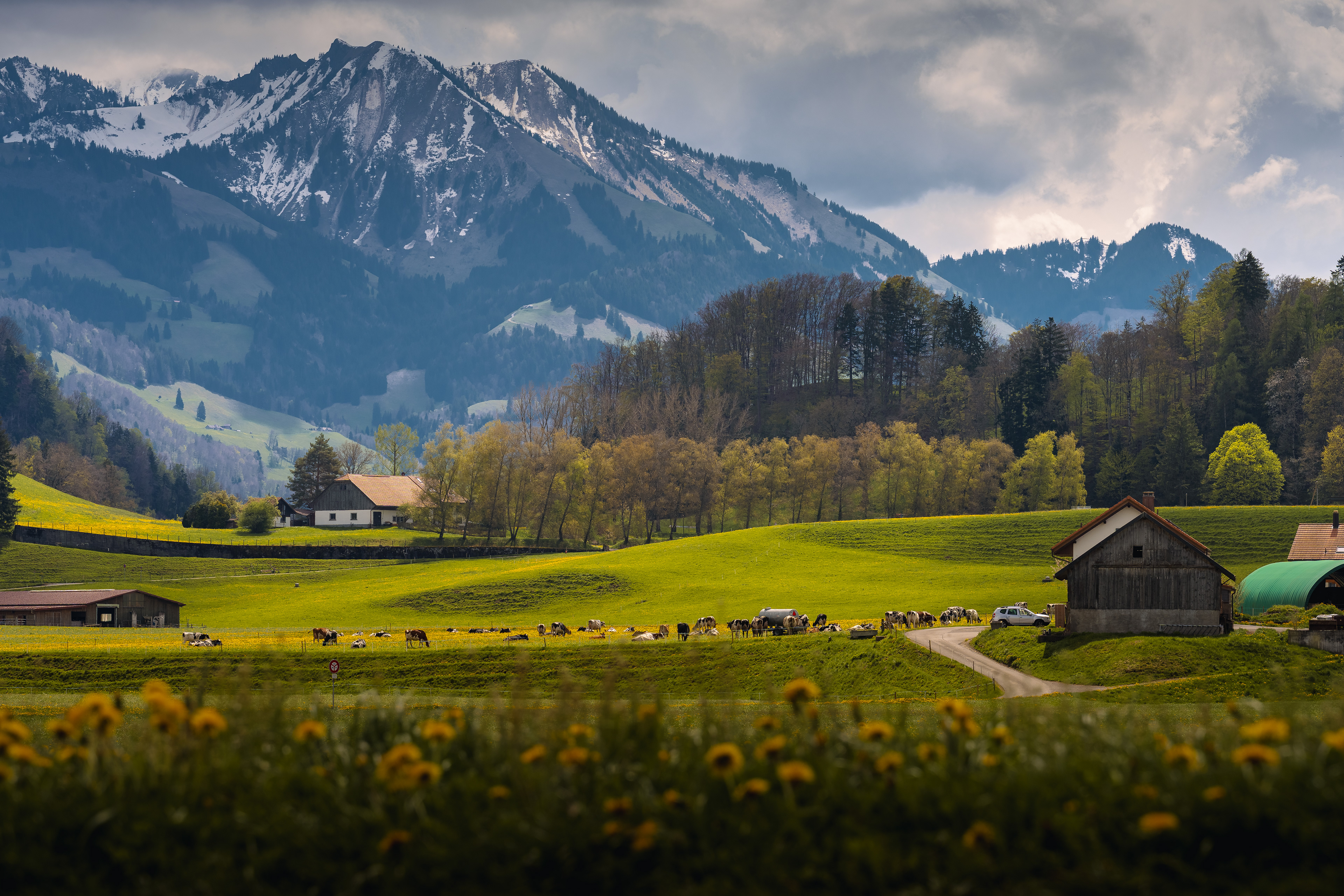 Gruyères