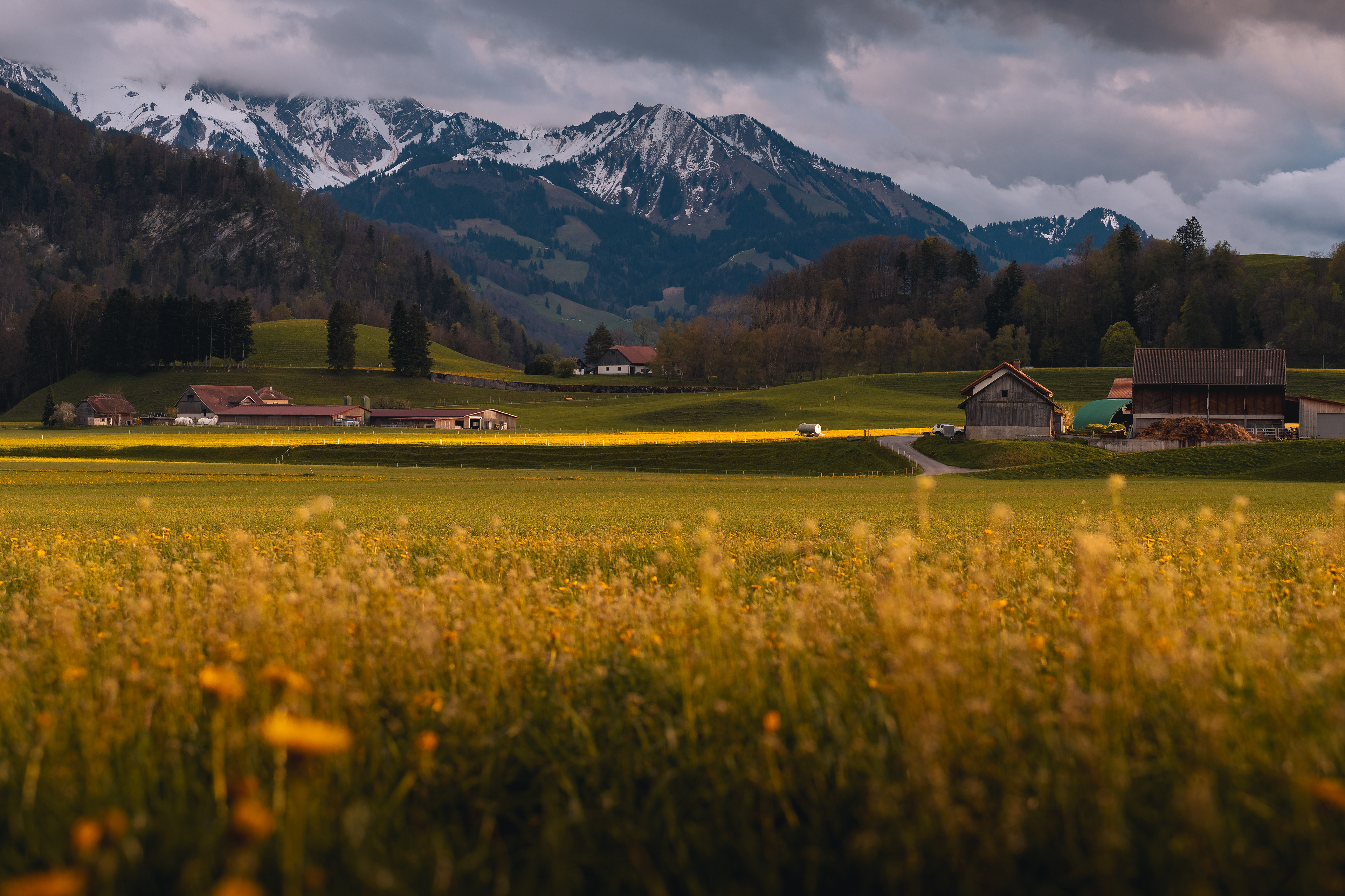 Gruyères