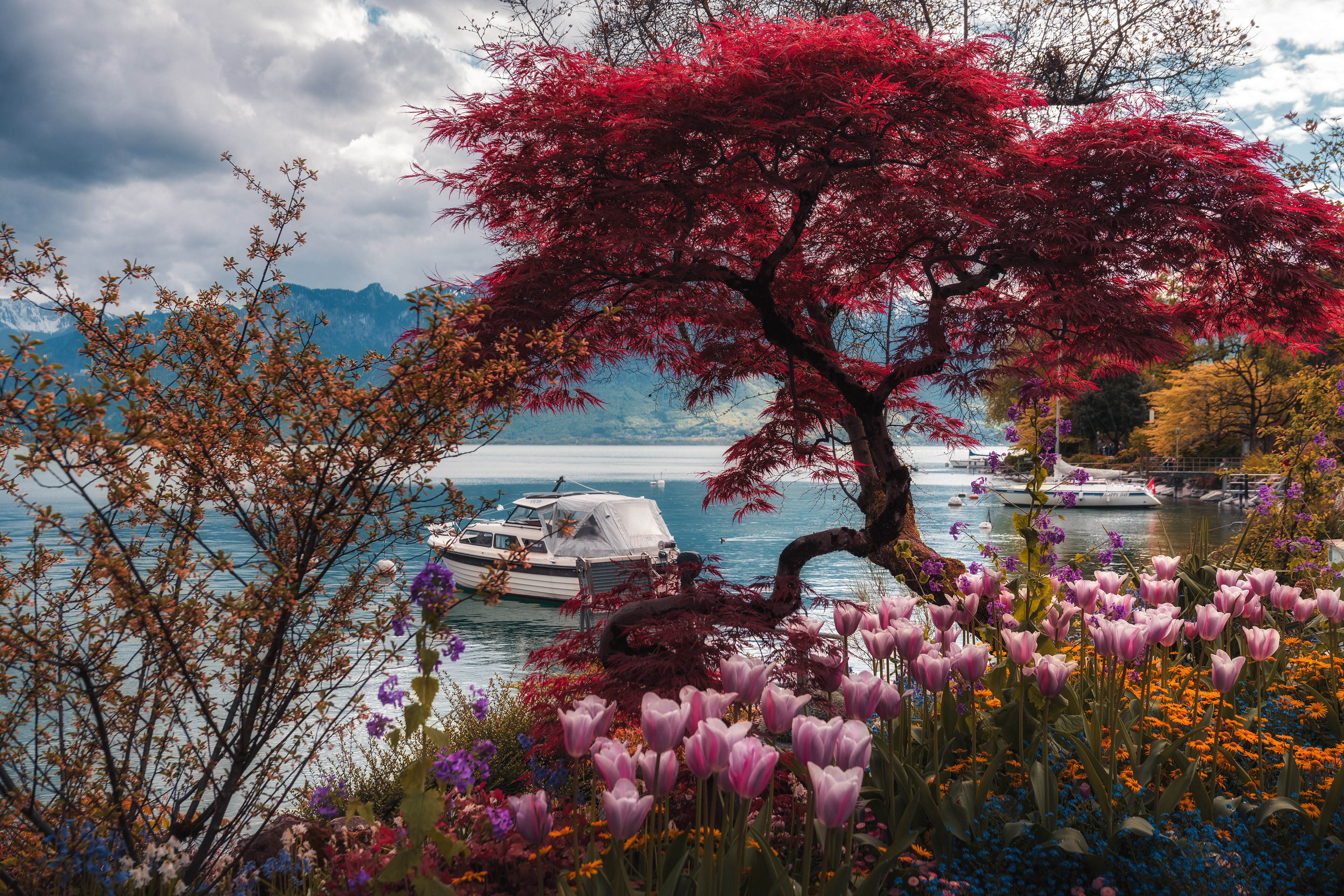 Montreux