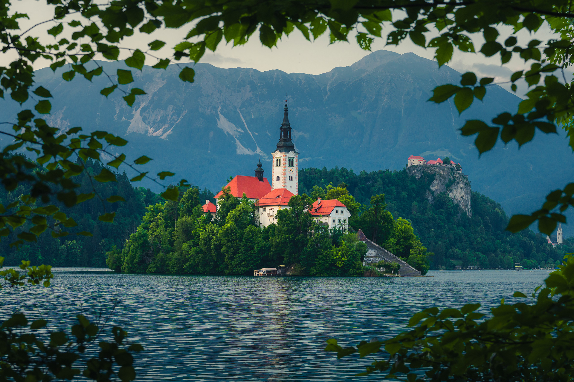 Bled