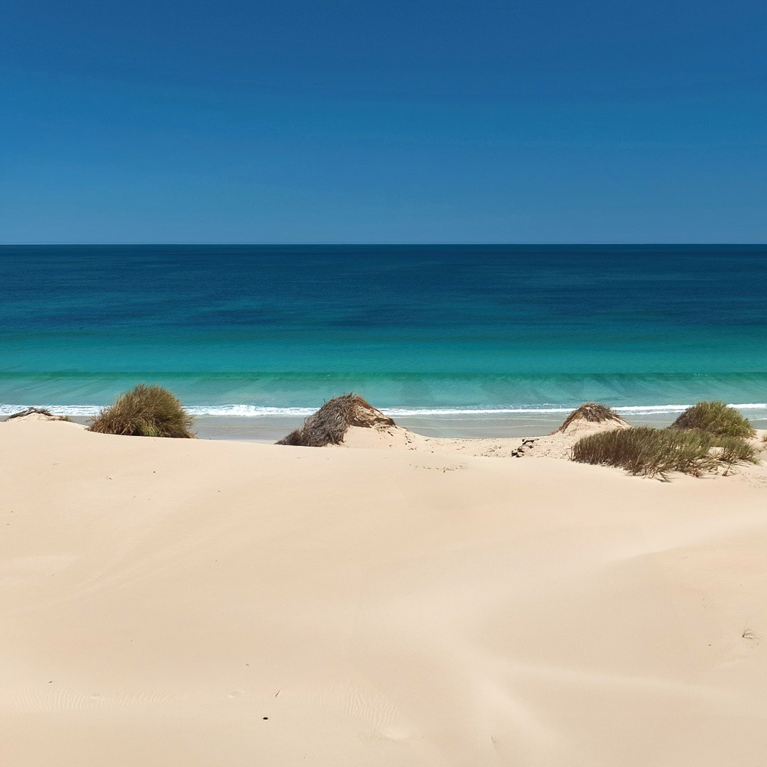 Dune coast, Geraldton WA.