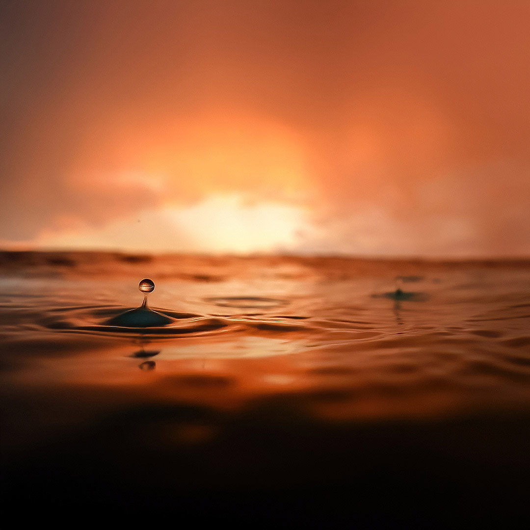Rain droplet at sunset.
