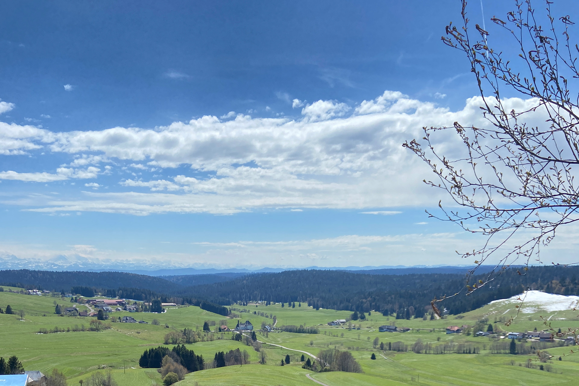 A view of the Alps from Bernau in Schwarzwald
