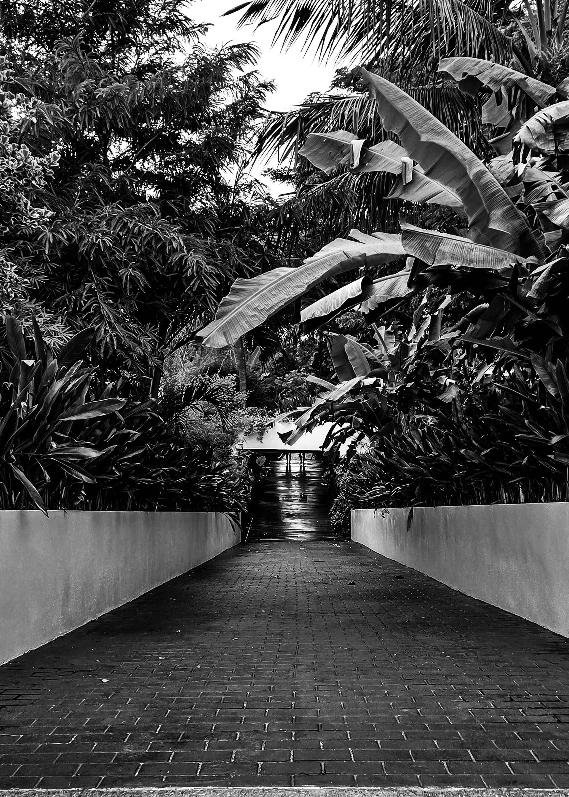 Phucket | Tailandia | 2025