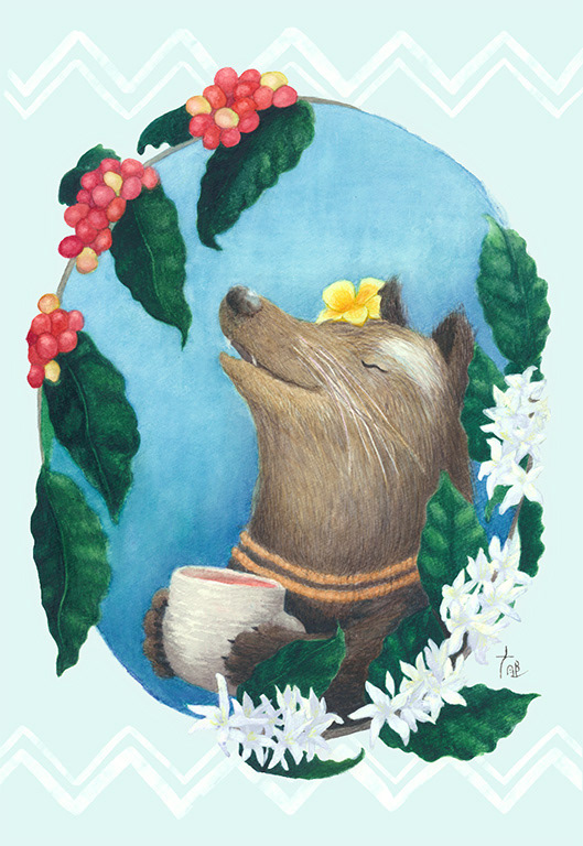 コーヒーチェリー