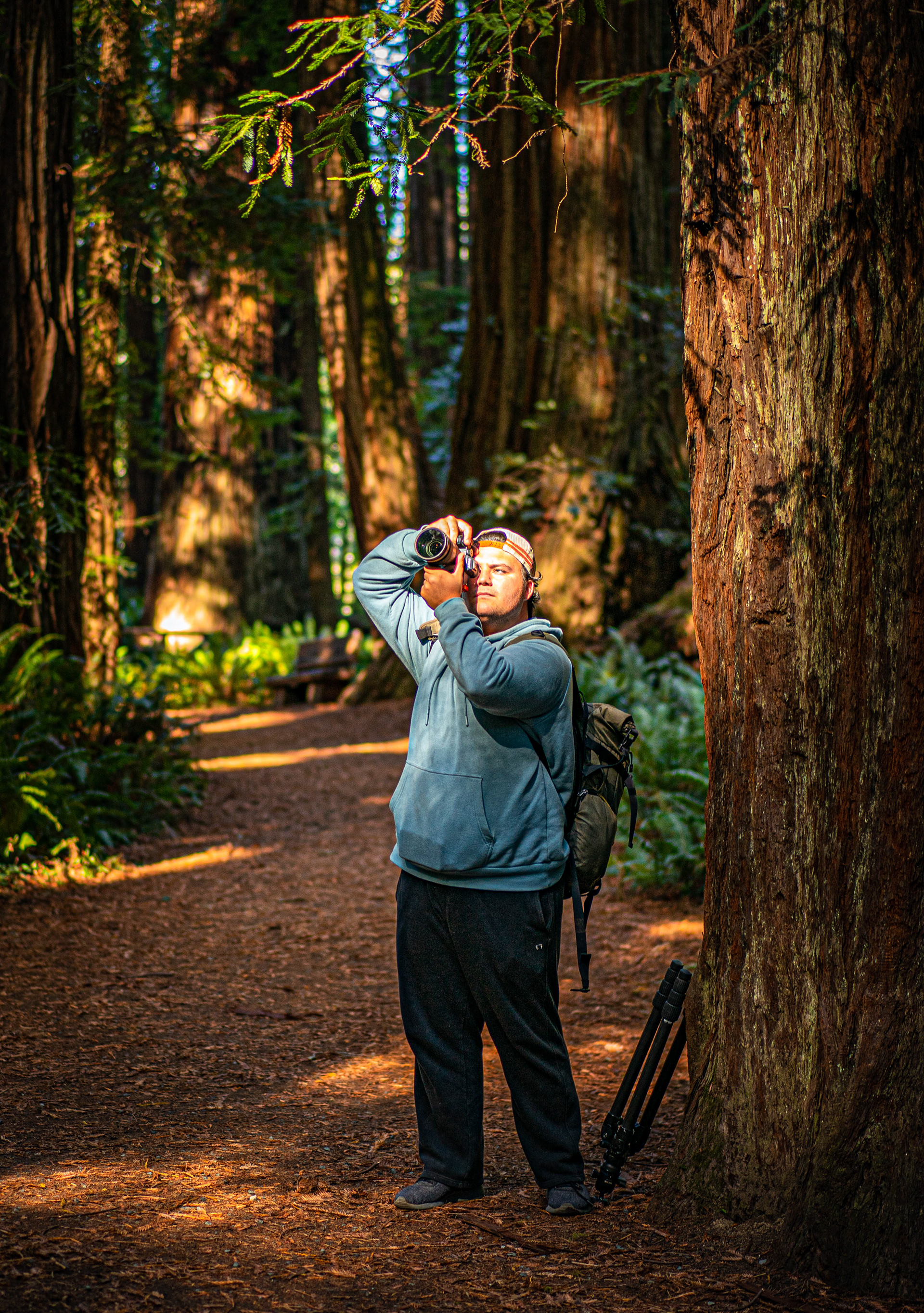 Larger than Life in Redwoods National Park