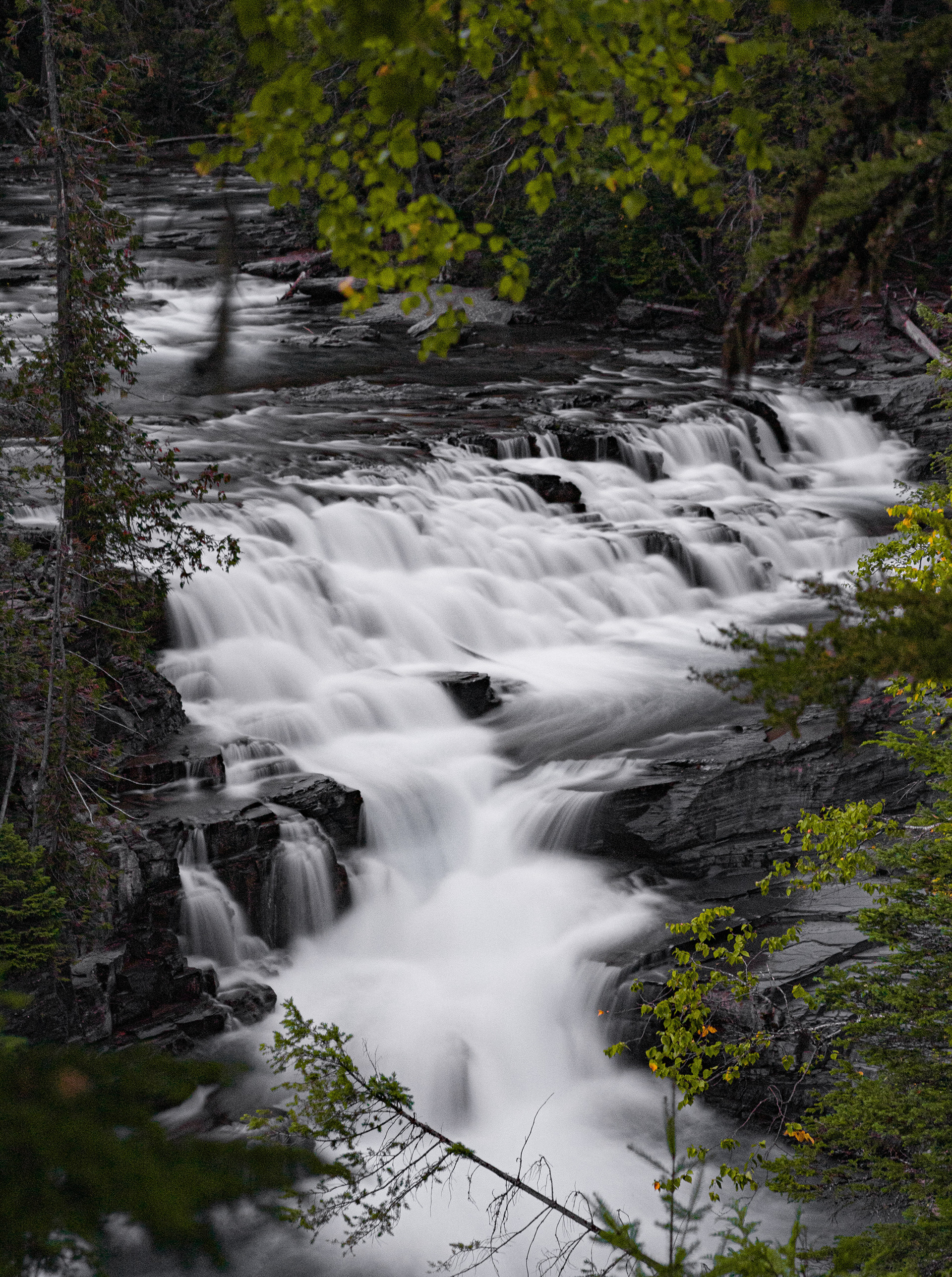 Rapids on McDonald Creek were ripping on this day. Glacier National Park