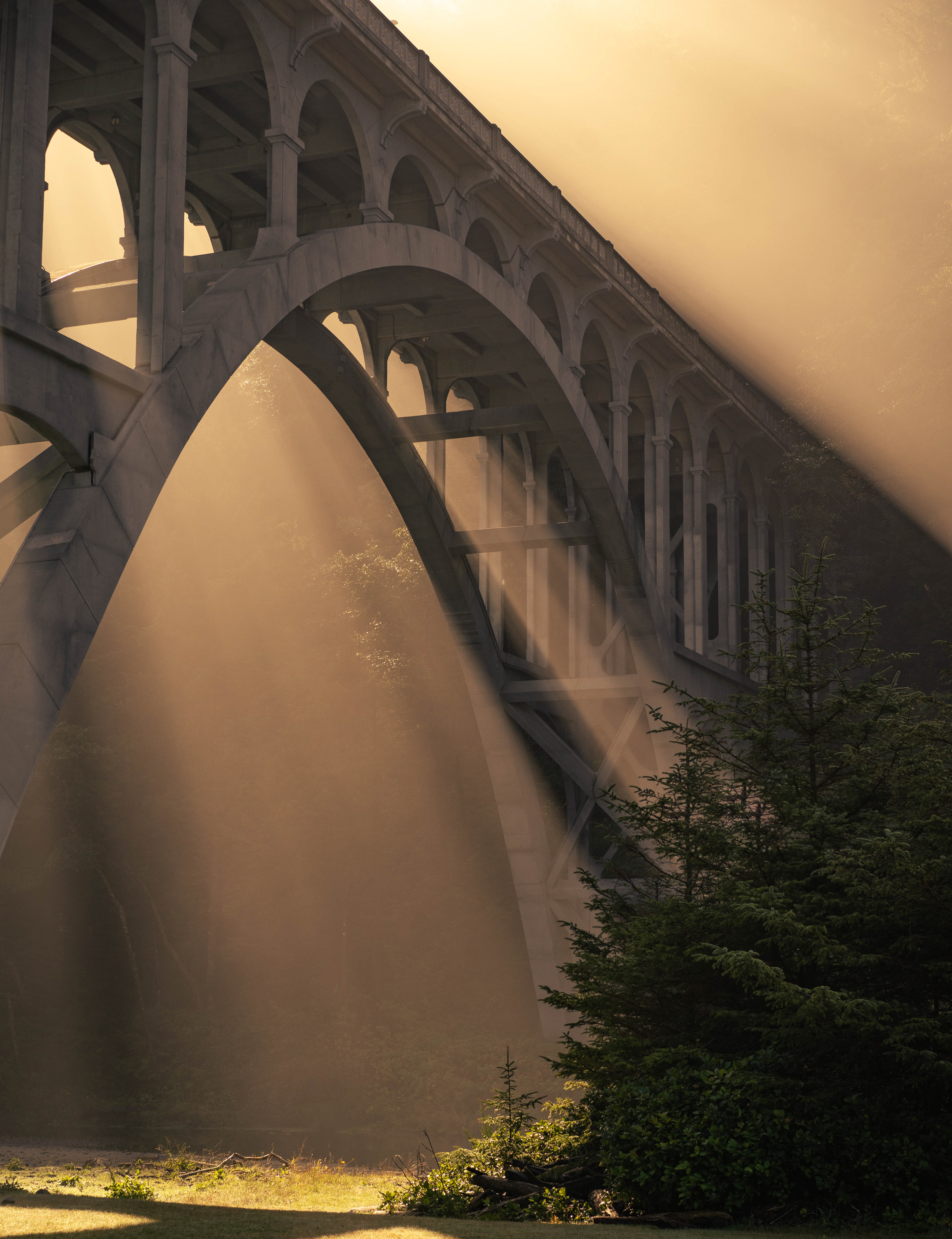 The first light of the morning, is always better along the Pacific Coast Highway. Oregon, USA