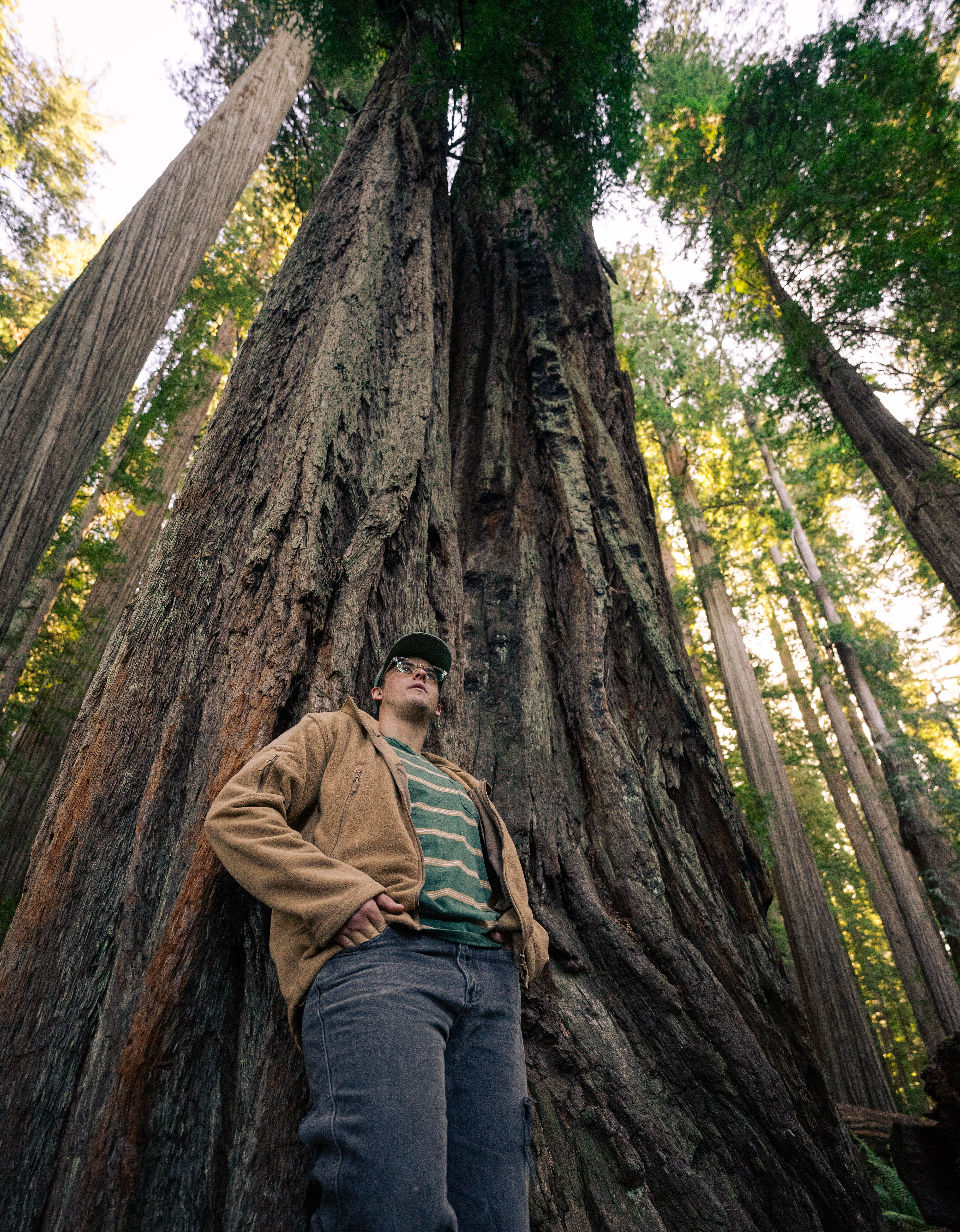 Larger than Life in Redwoods National Park Pt. 4