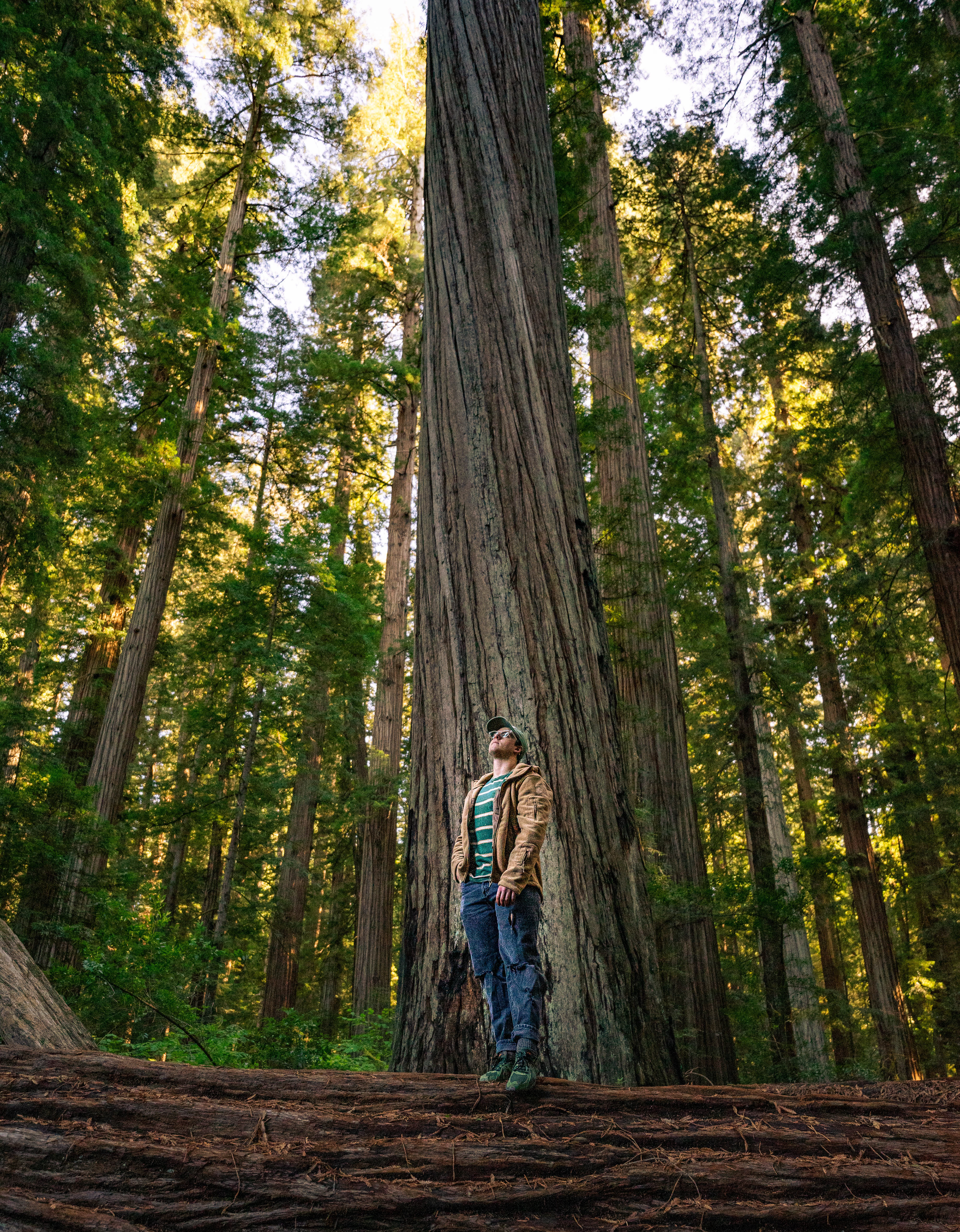 Larger than Life in Redwoods National Park Pt. 5