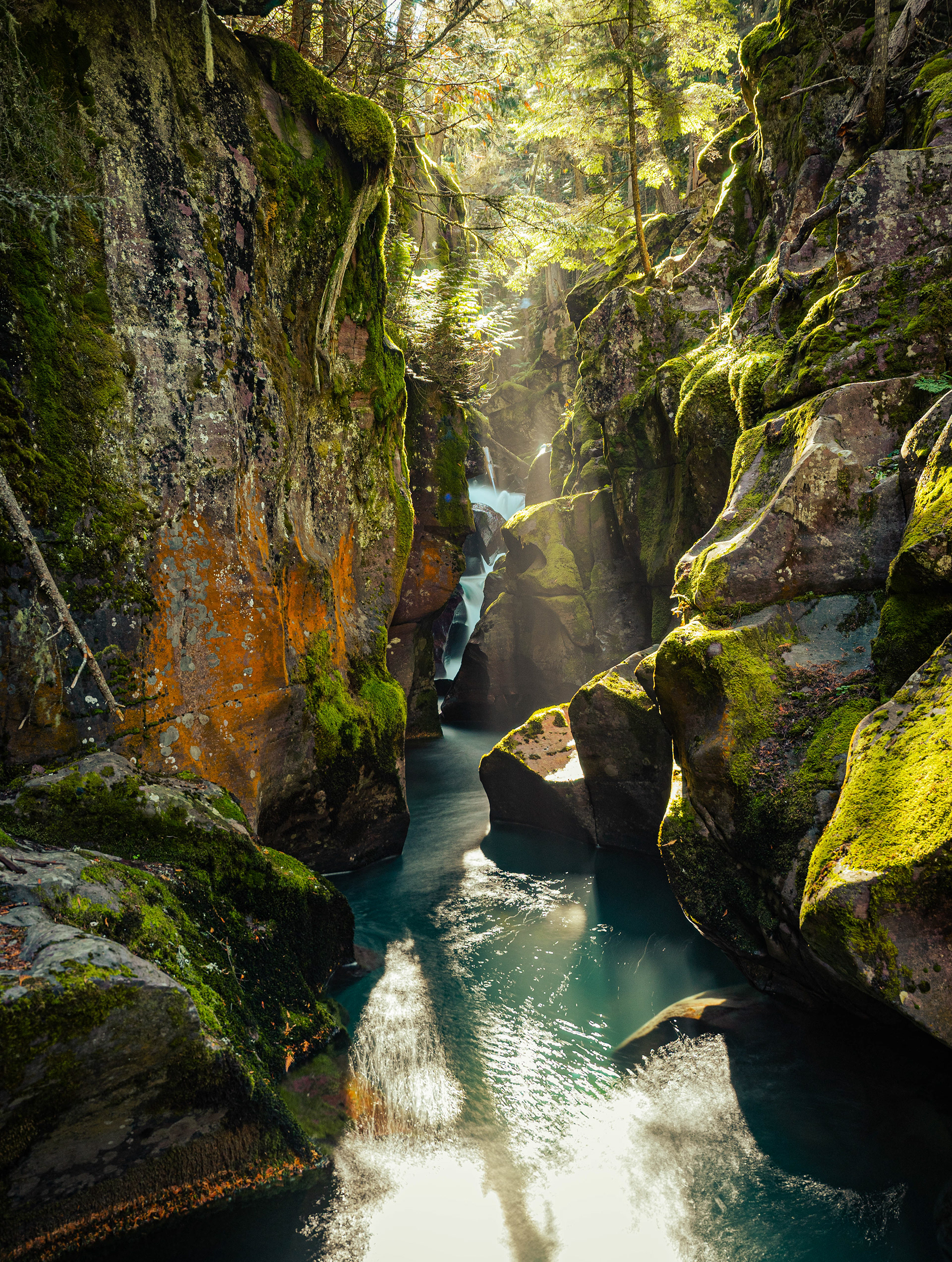 Avalanche Gorge with gorgeous light is a sight to see for yourself.