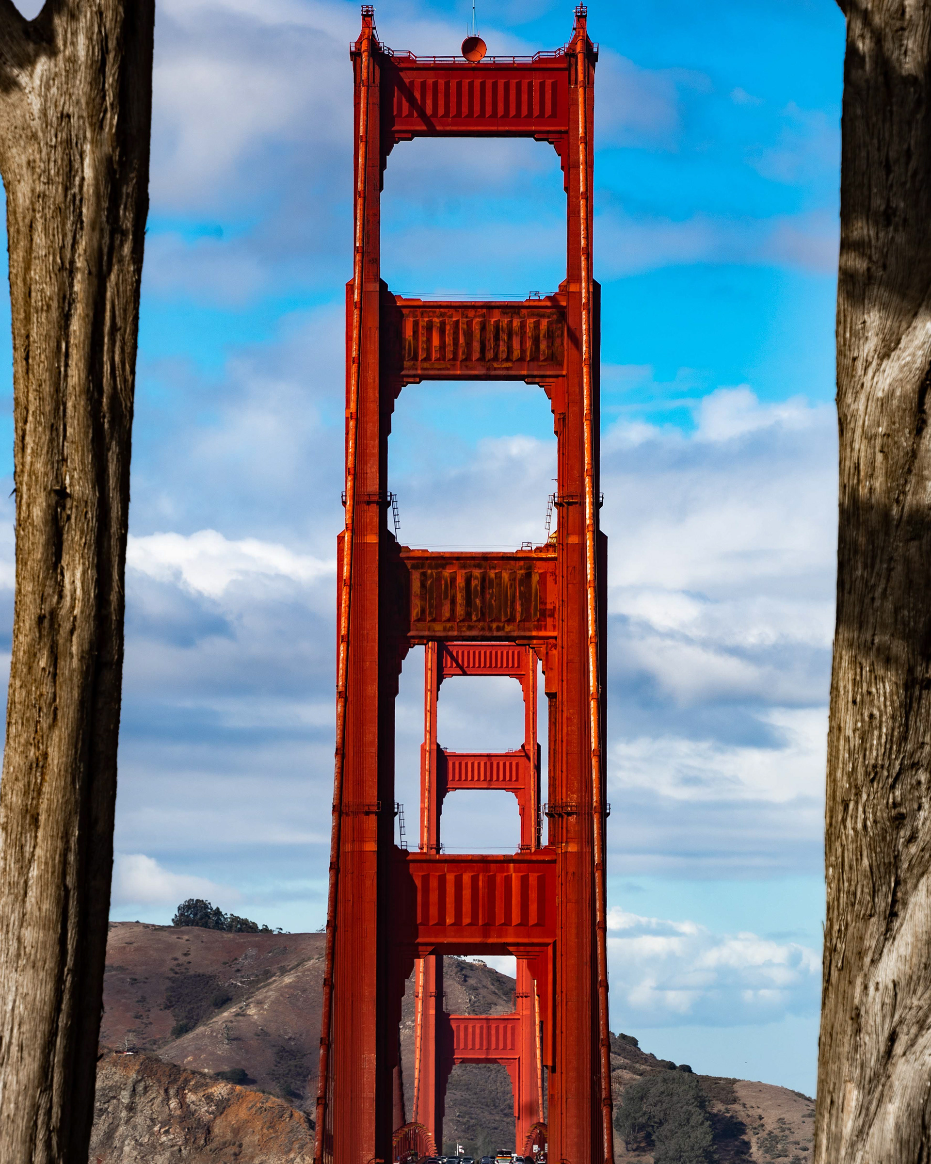 A glimpse of the Golden Gate through the trees. San Francisco, California