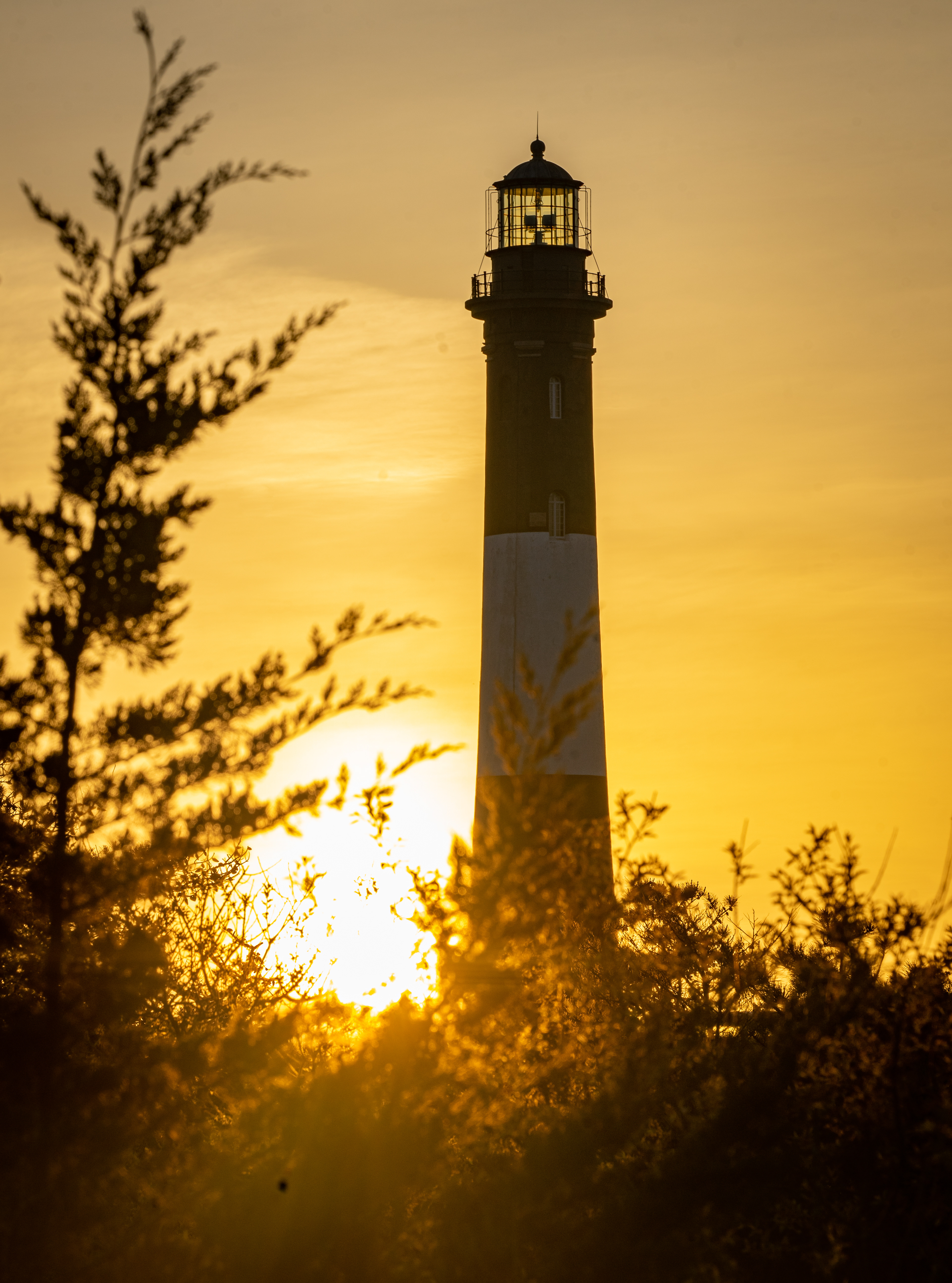 Cool mornings always make my heart feel warm. Robert Moses State Park, New York