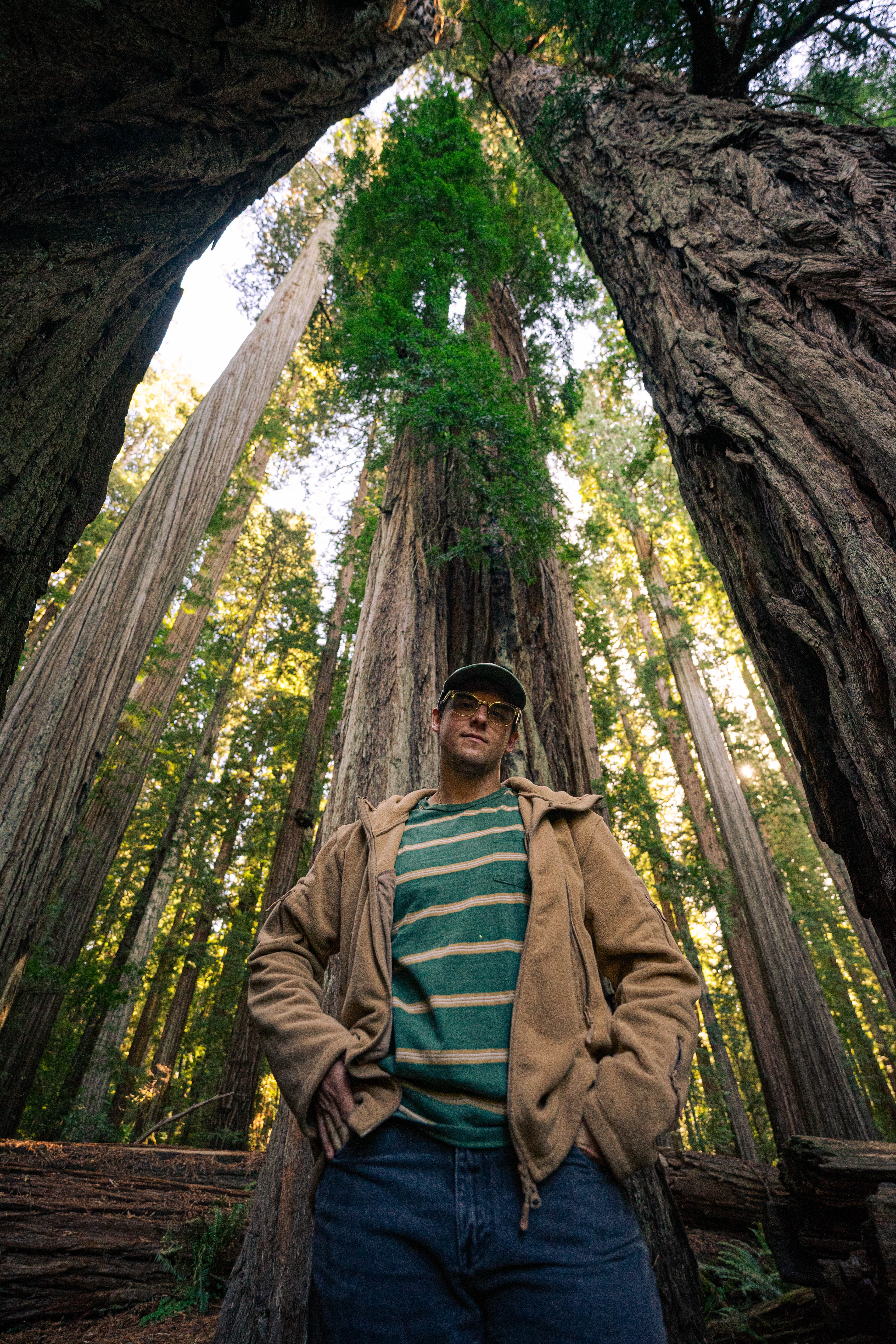 Larger than Life in Redwoods National Park Pt. 3