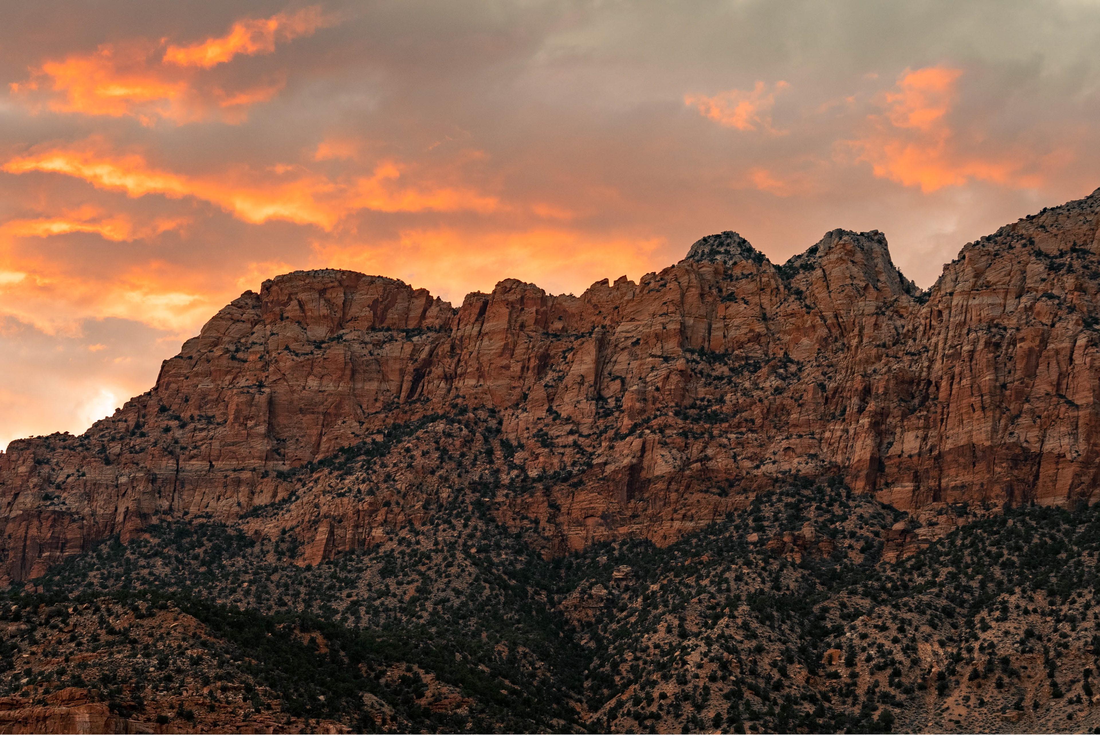 The redrock formations of Utah have such unique details to them. Zion National Park