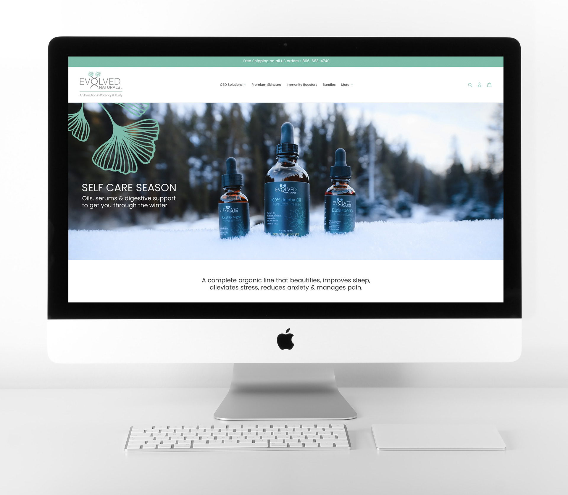 Website design