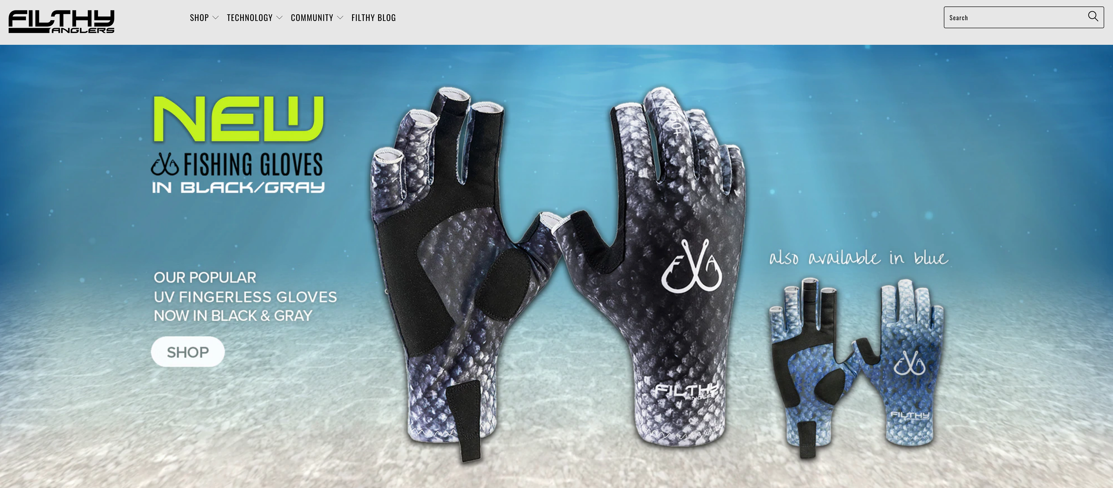 Web Design / Product Design