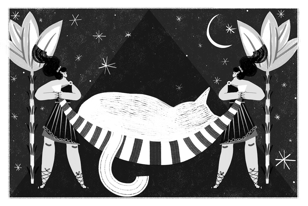 CATS - DITO Publishing