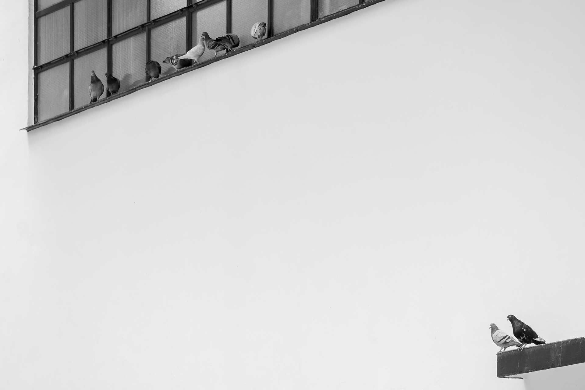 Geometry Points and Lines Photography in Hong Kong 1