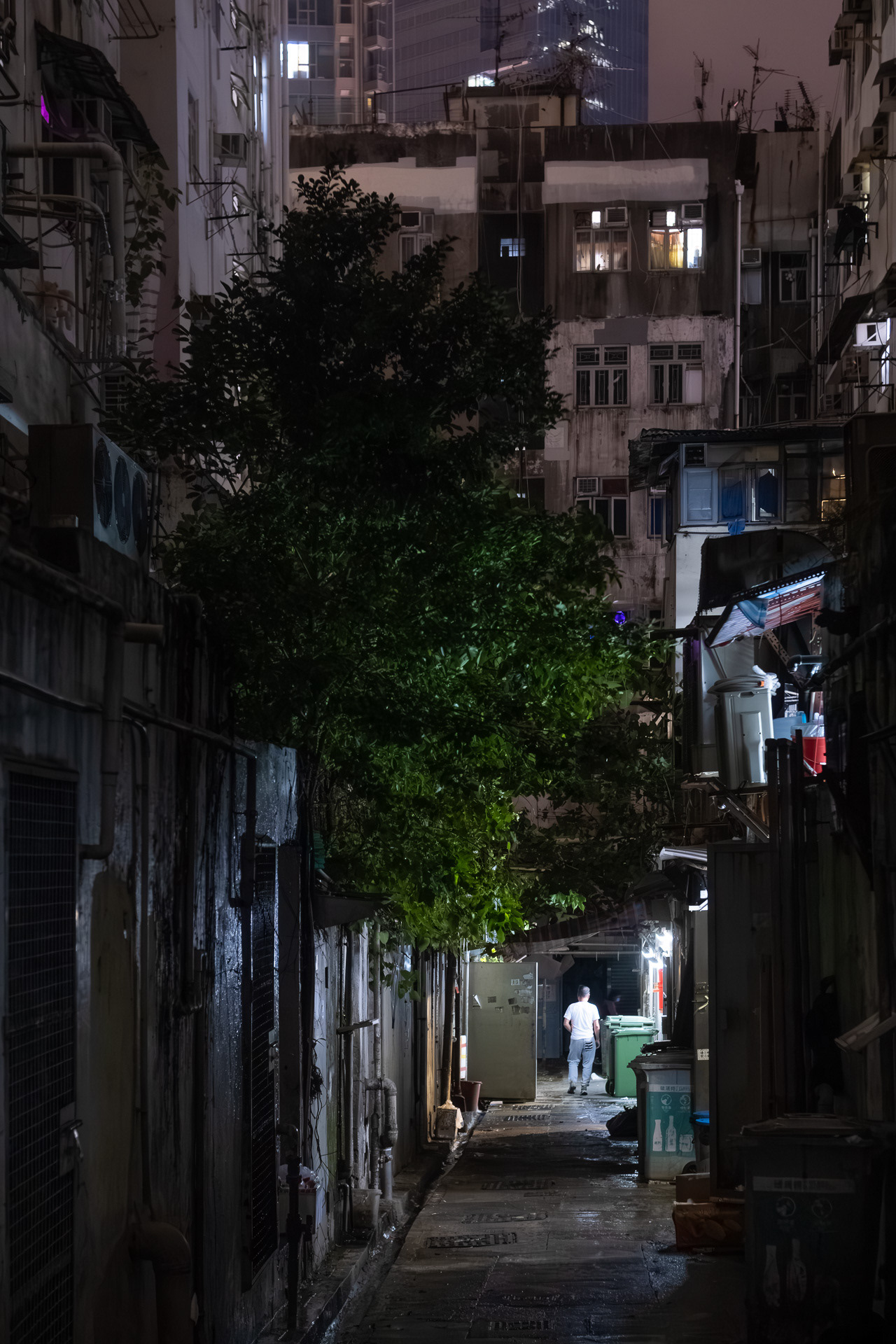 Hong Kong Night Alley 10