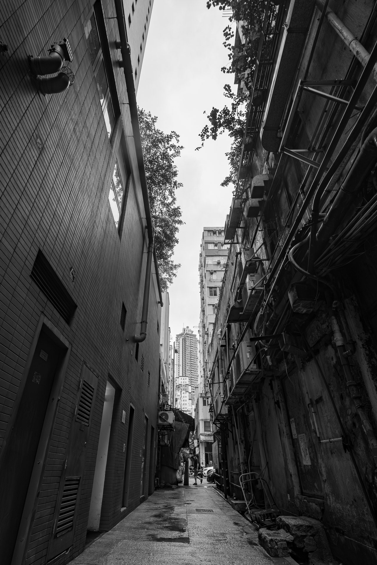 Hong Kong Day Alley 19